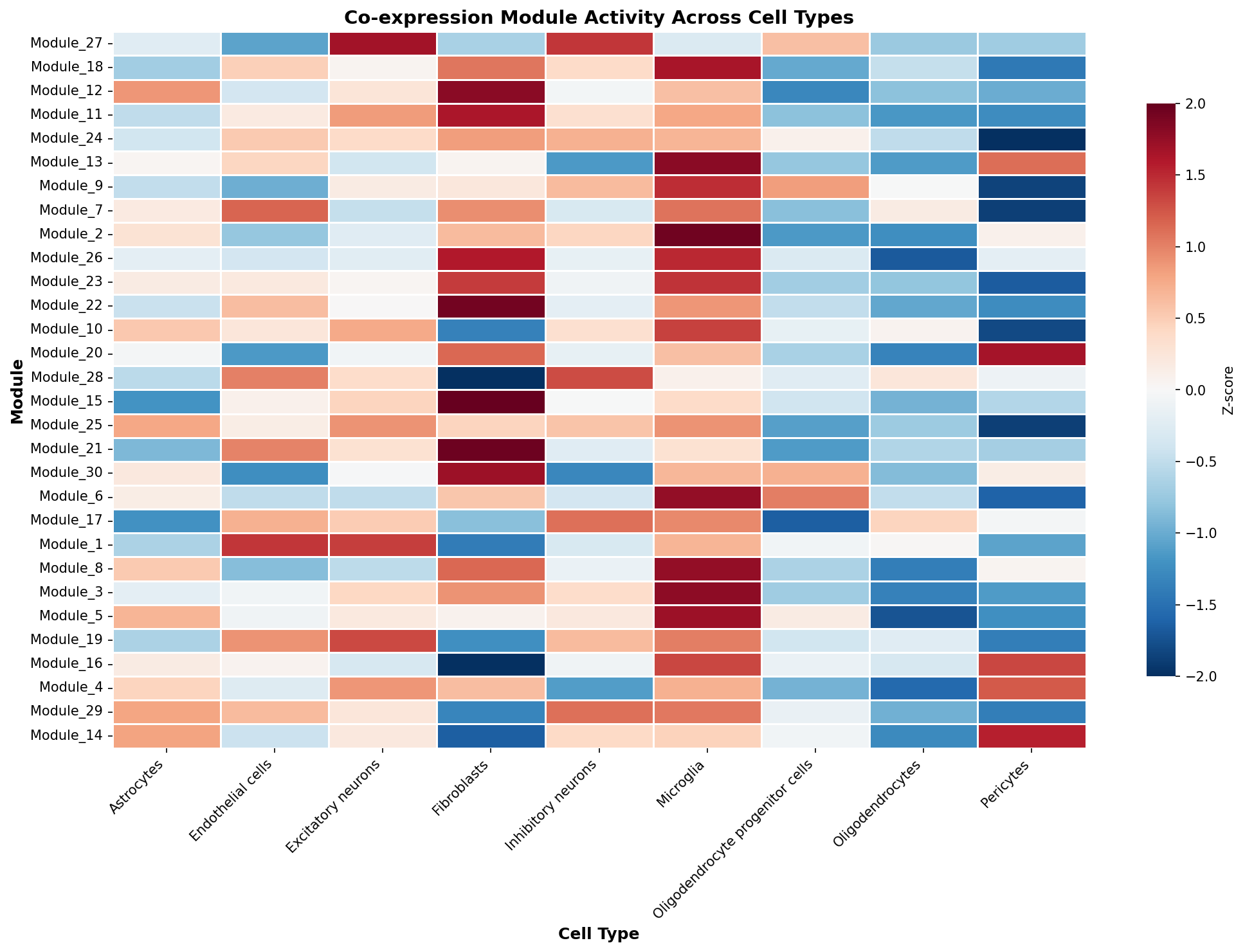 Module-Cell Type Association