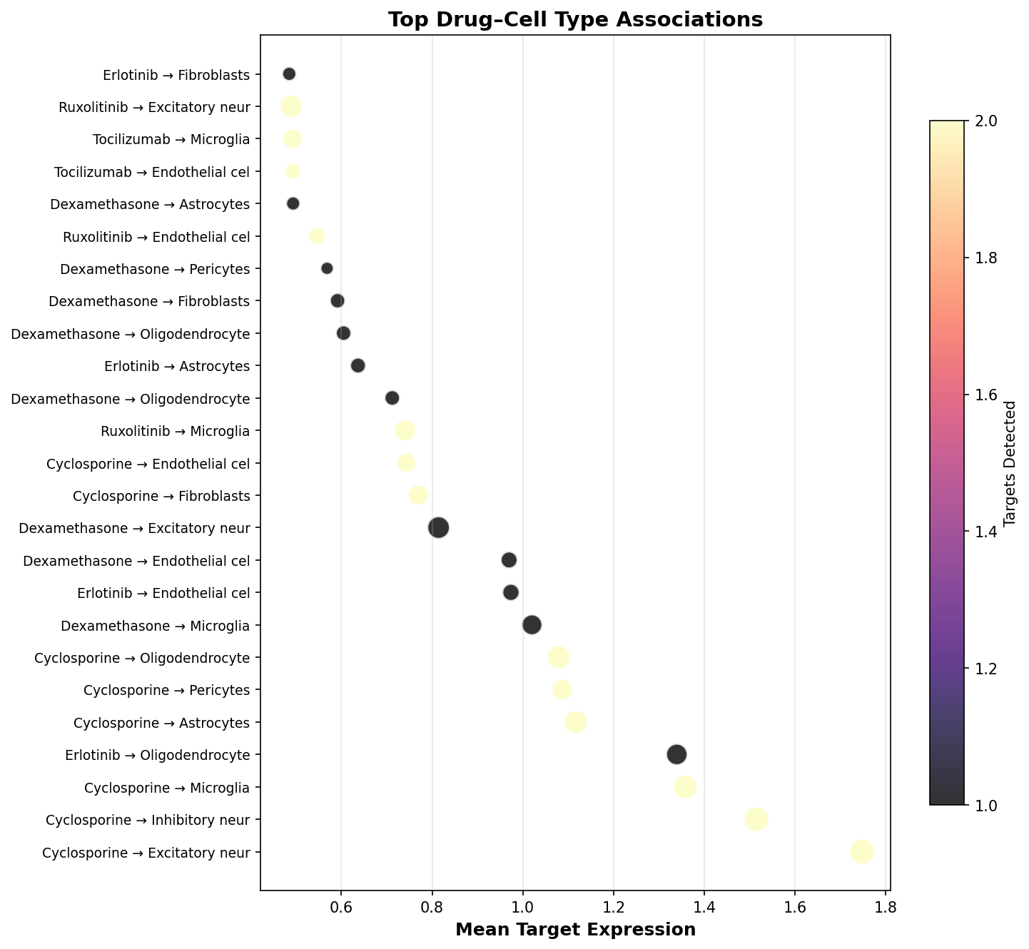Top Drug–Cell Type Associations