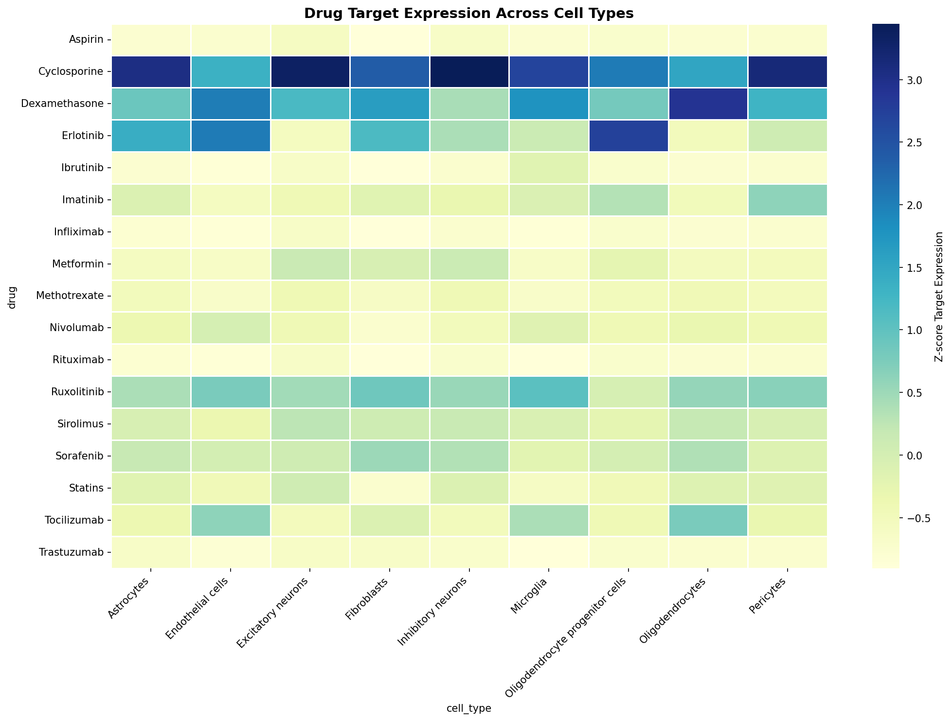 Drug Target Expression Heatmap