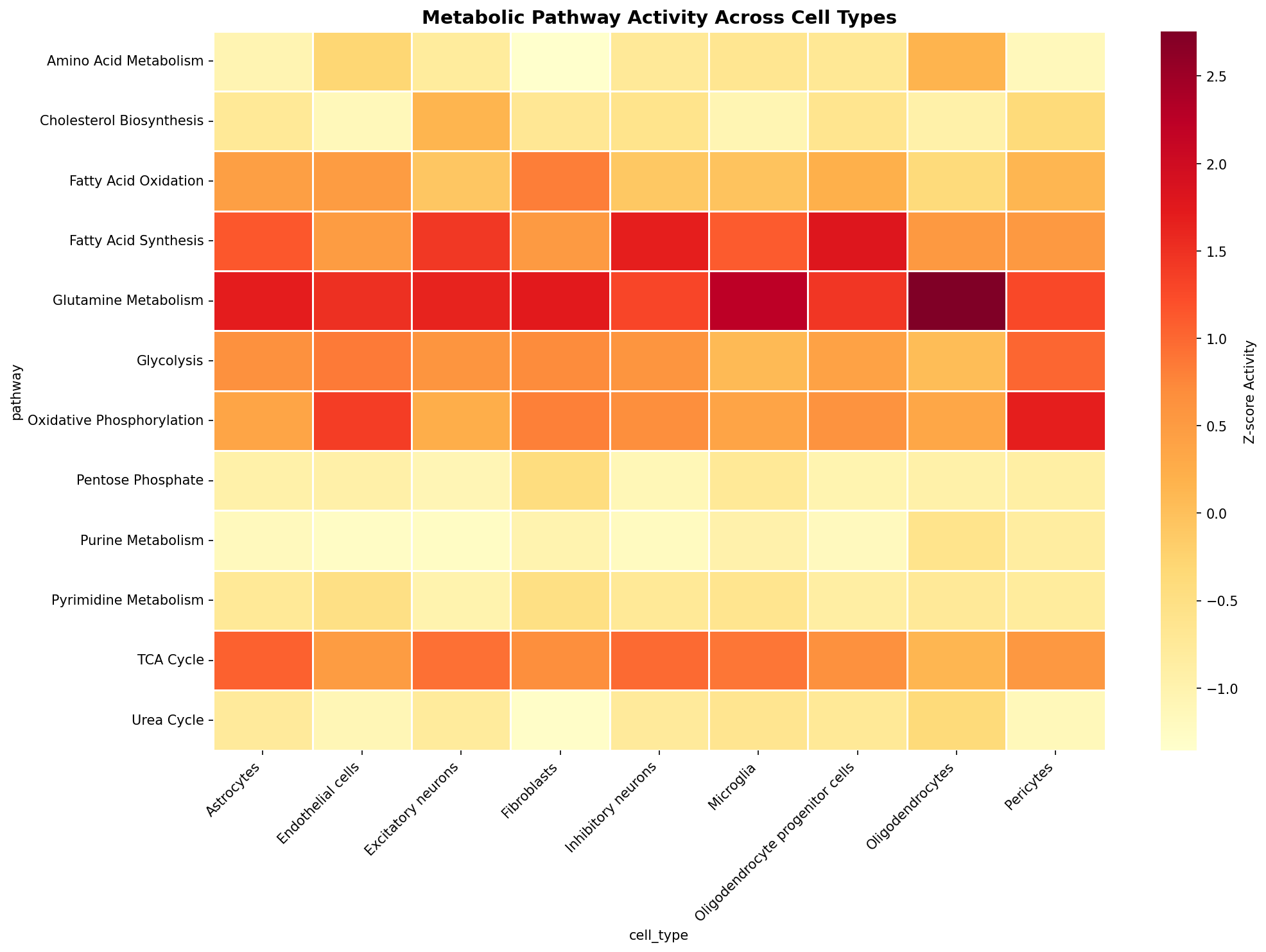 Metabolic Pathway Heatmap