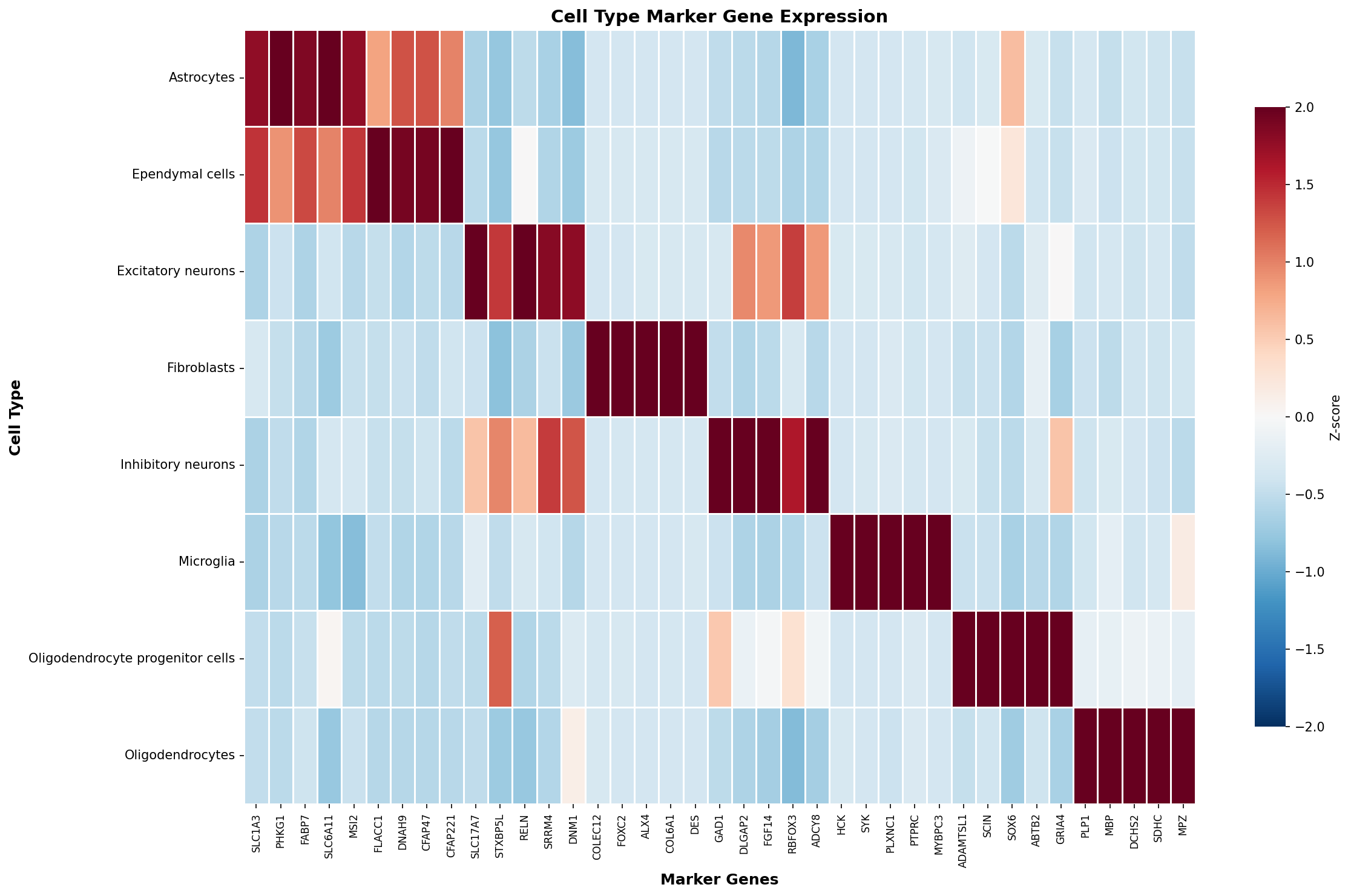 Marker Gene Heatmap