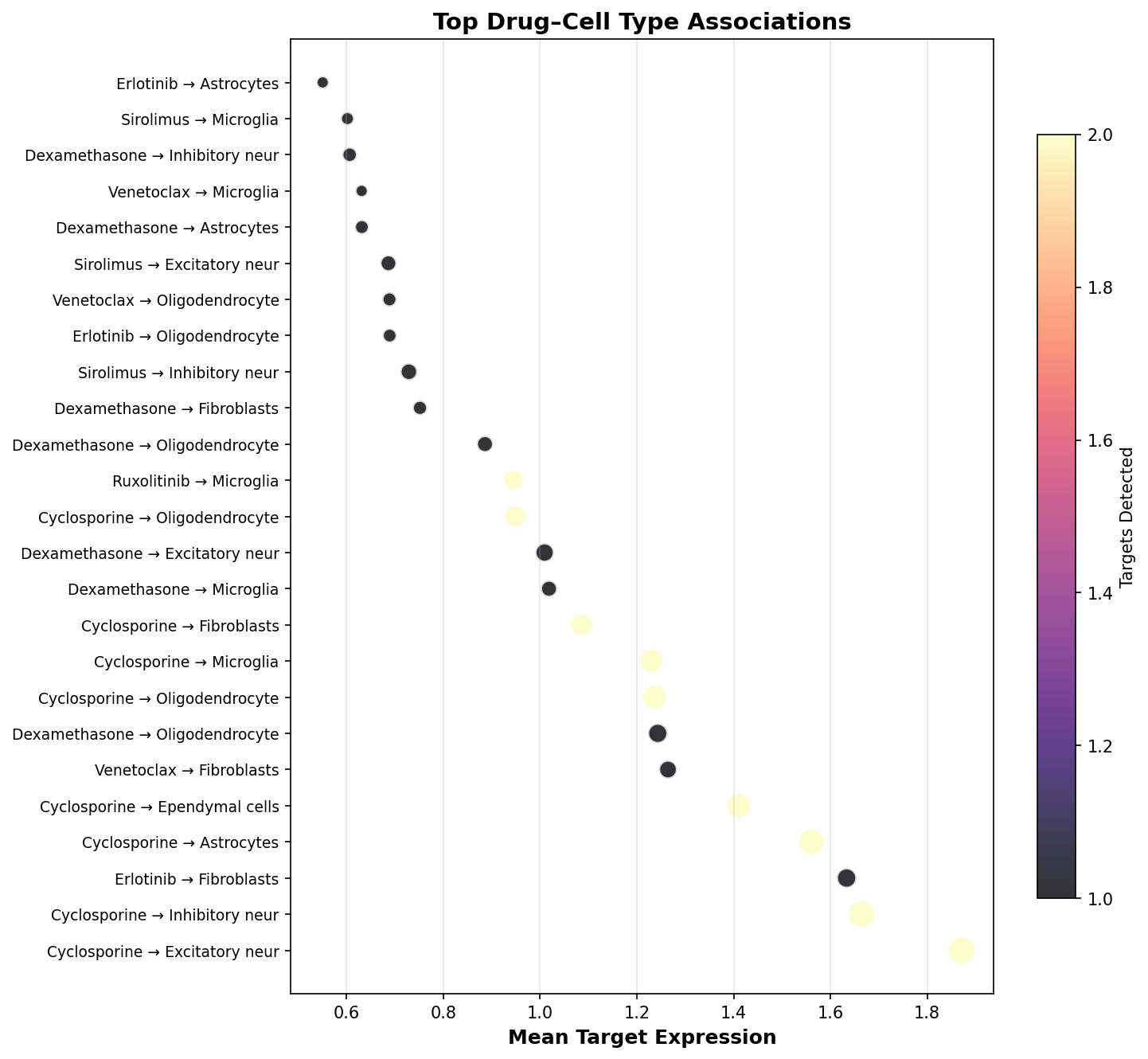 Top Drug–Cell Type Associations
