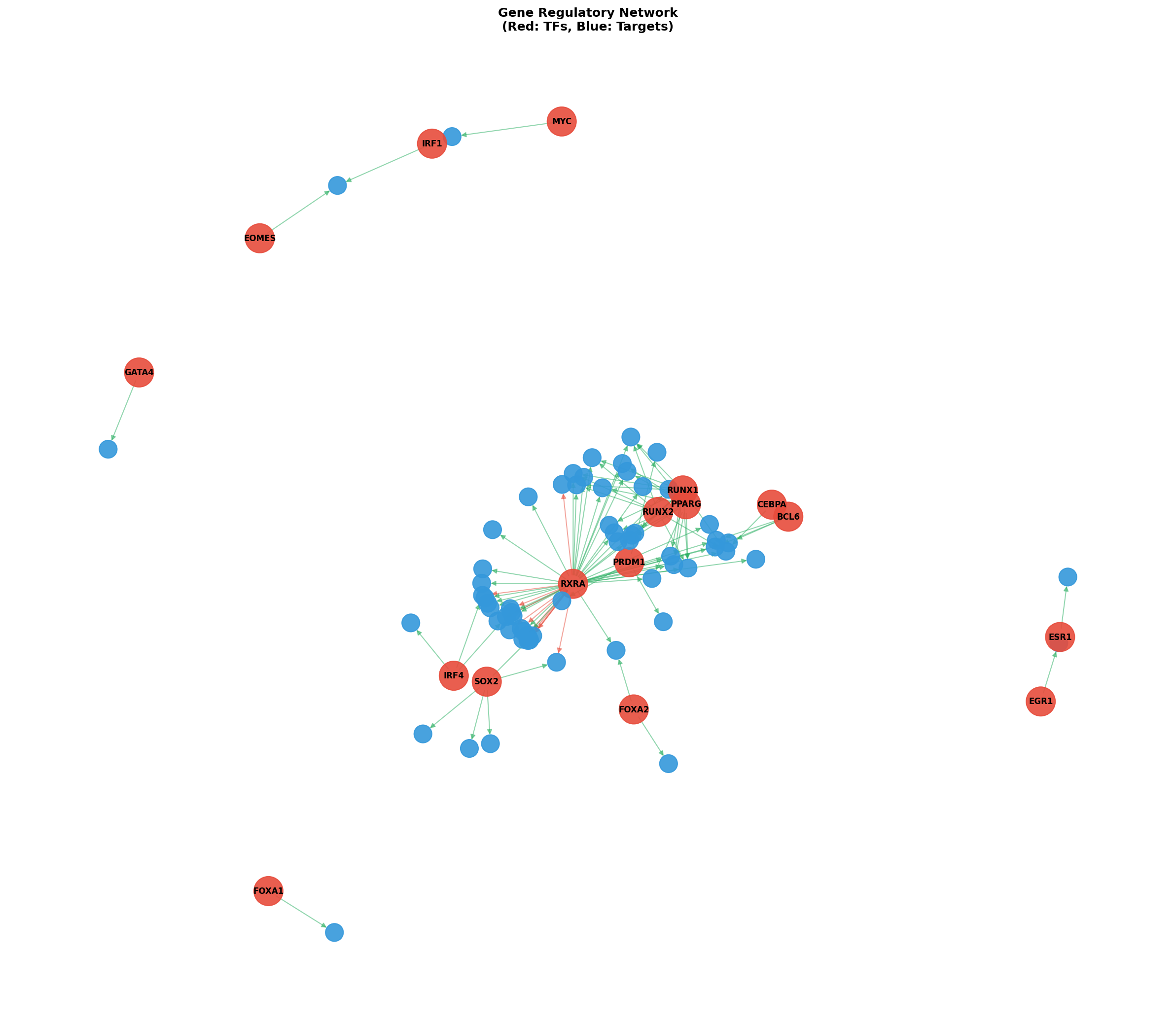 Exploratory TF-Target Association Network