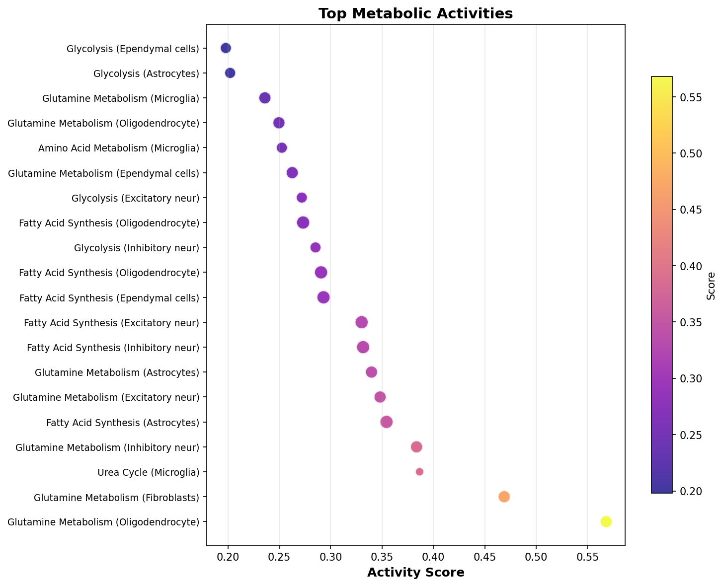 Top Metabolic Activities