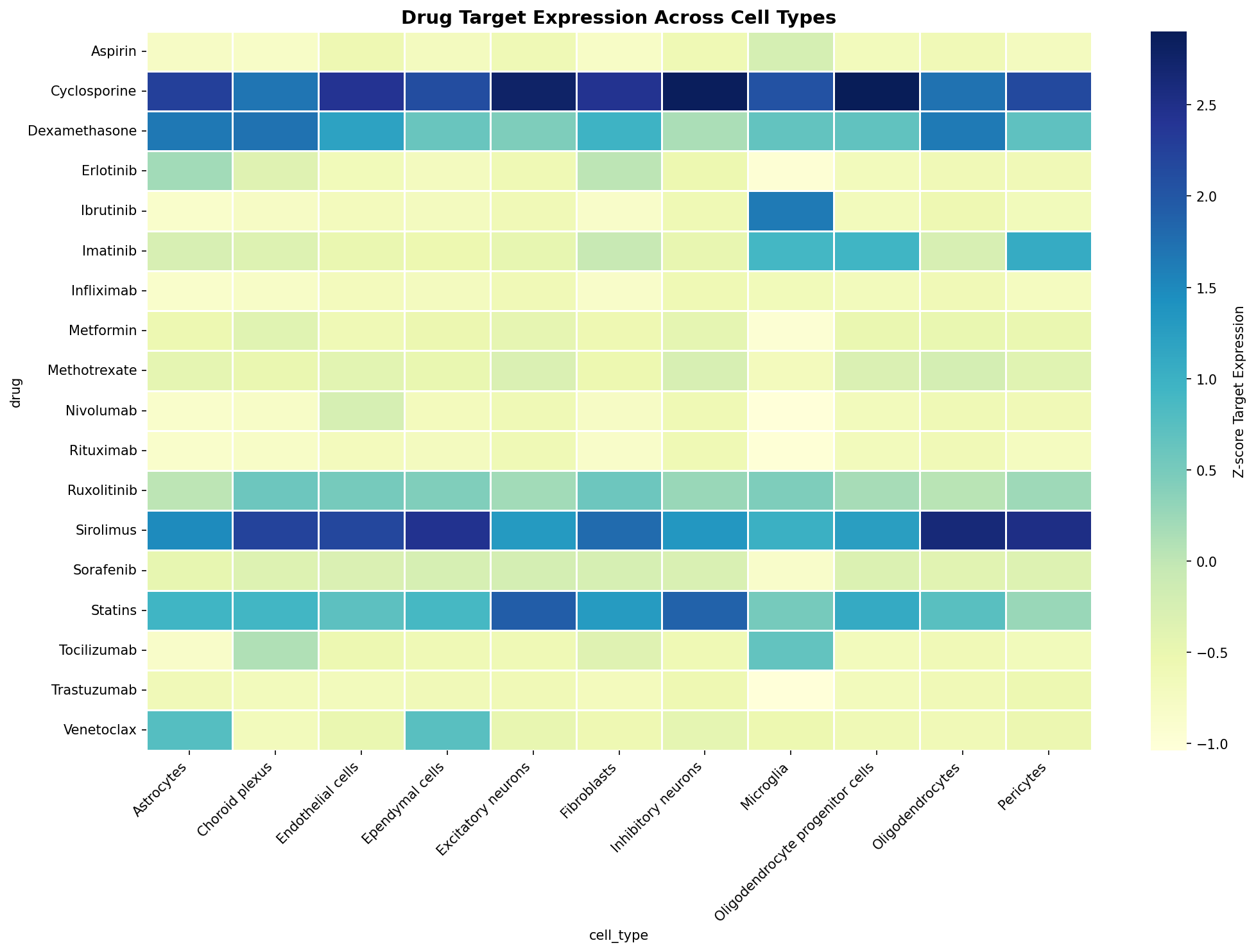 Drug Target Expression Heatmap