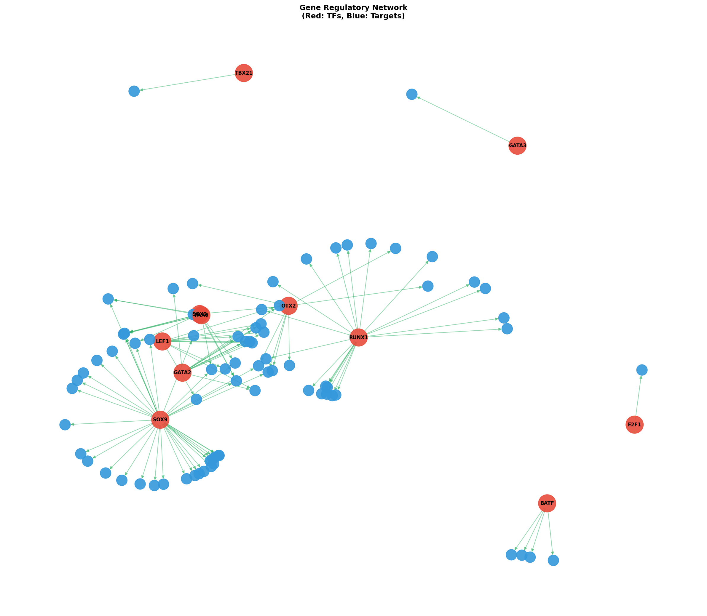Exploratory TF-Target Association Network