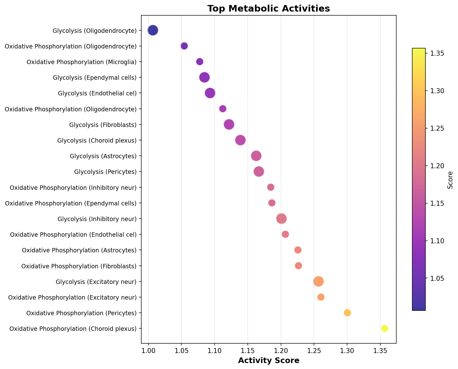 Top Metabolic Activities