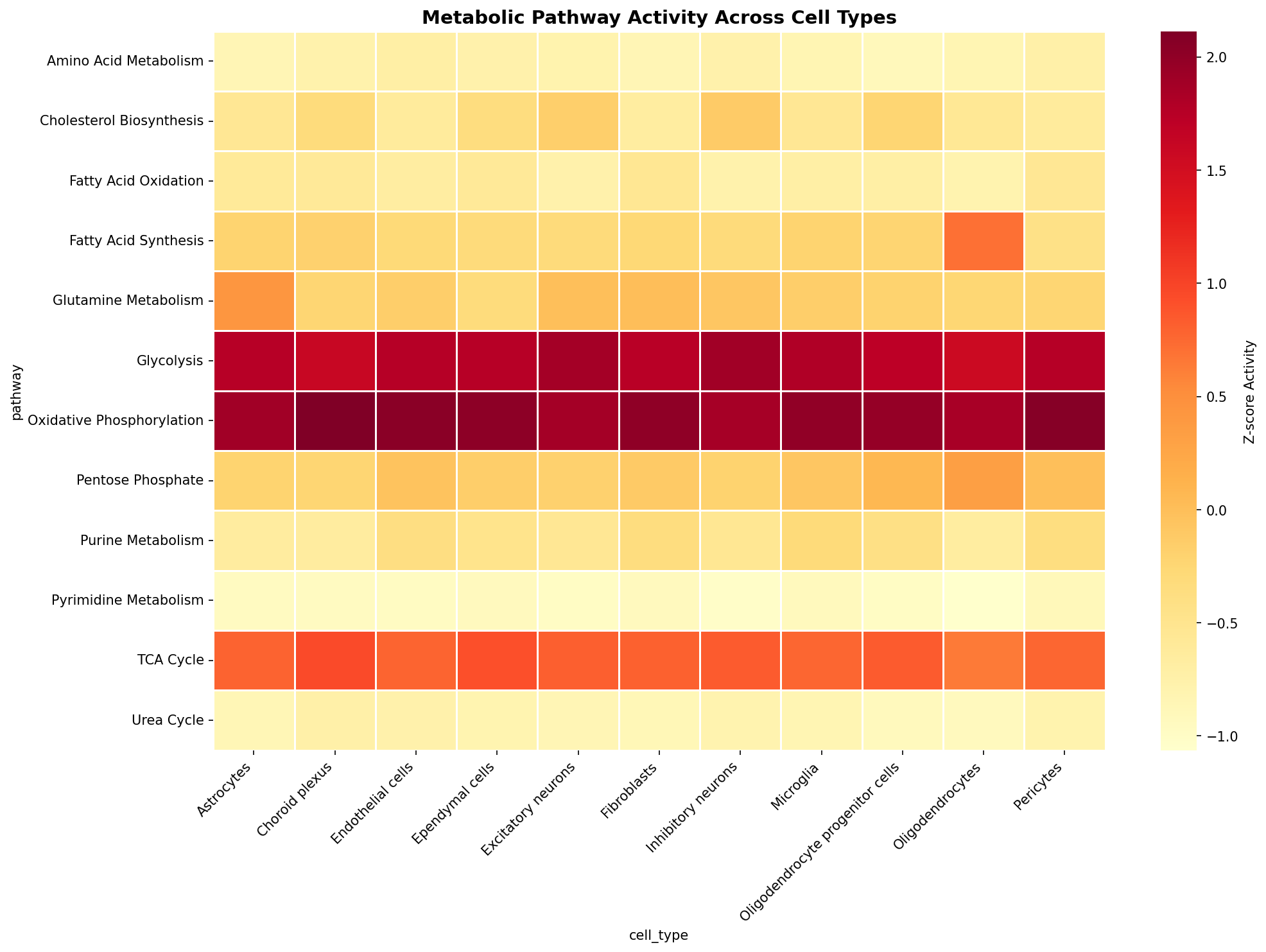 Metabolic Pathway Heatmap