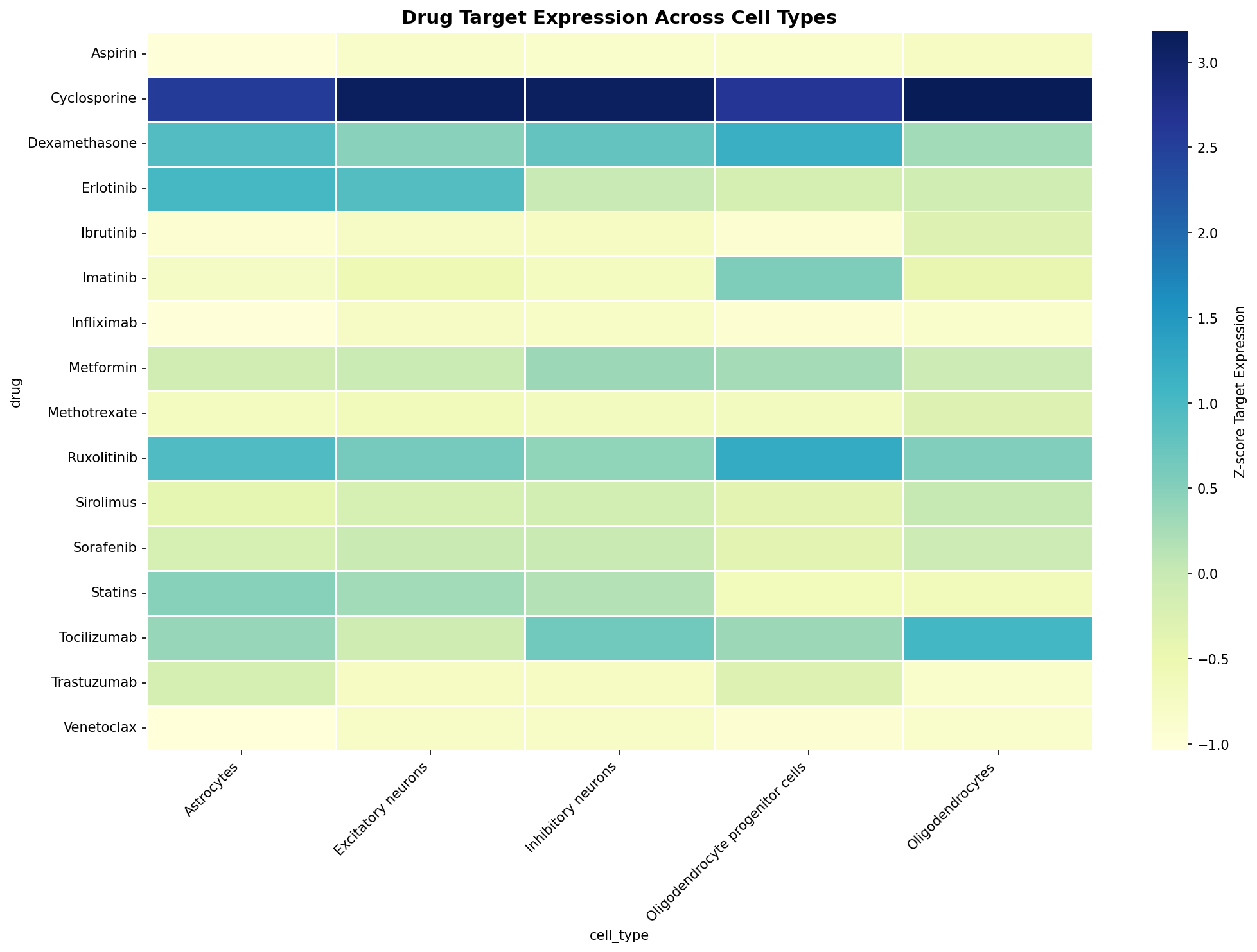 Drug Target Expression Heatmap