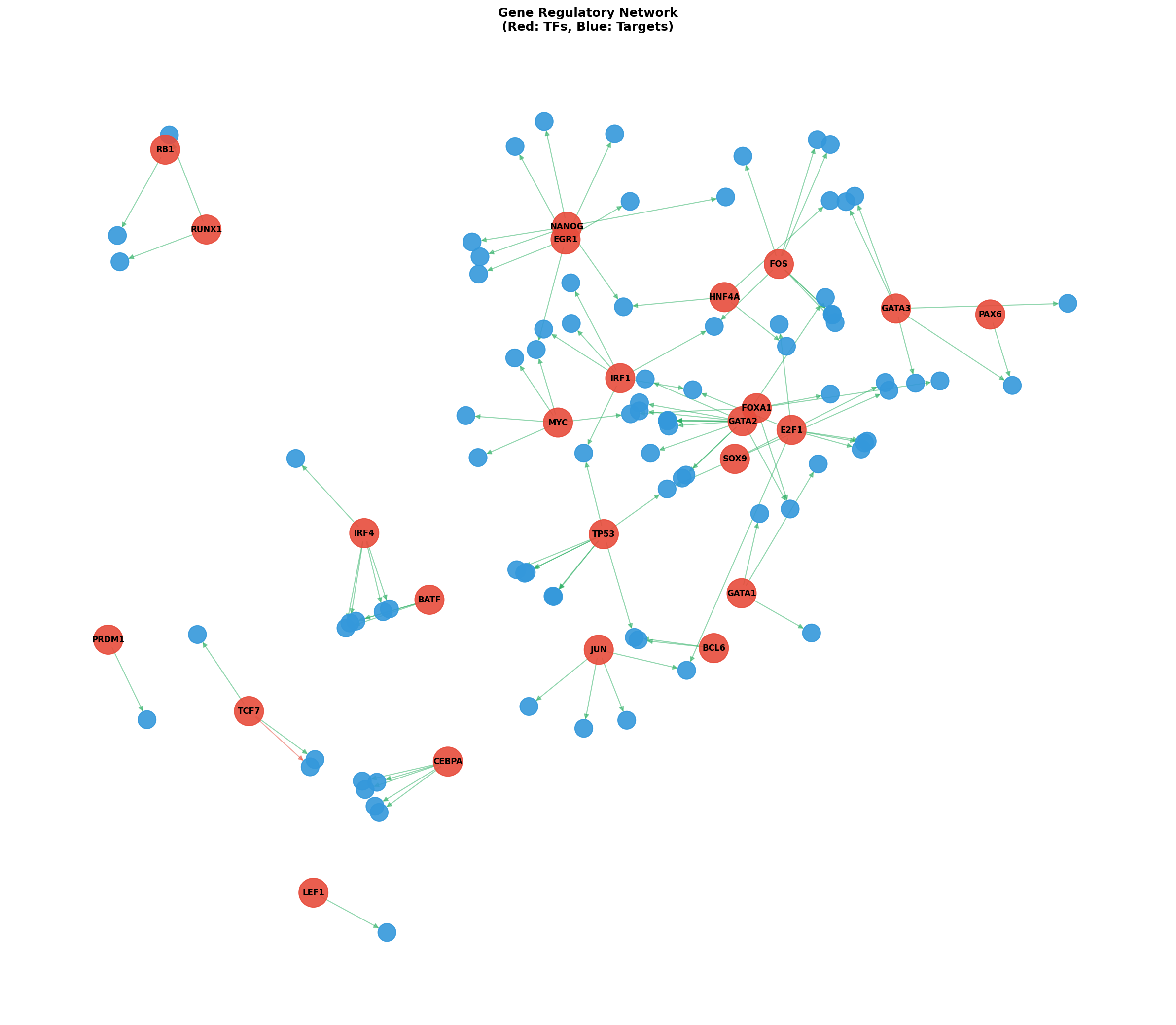 Exploratory TF-Target Association Network