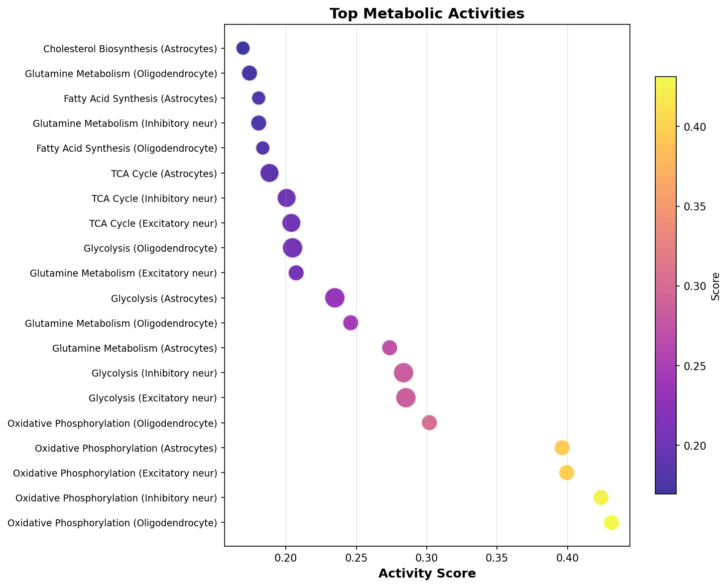 Top Metabolic Activities