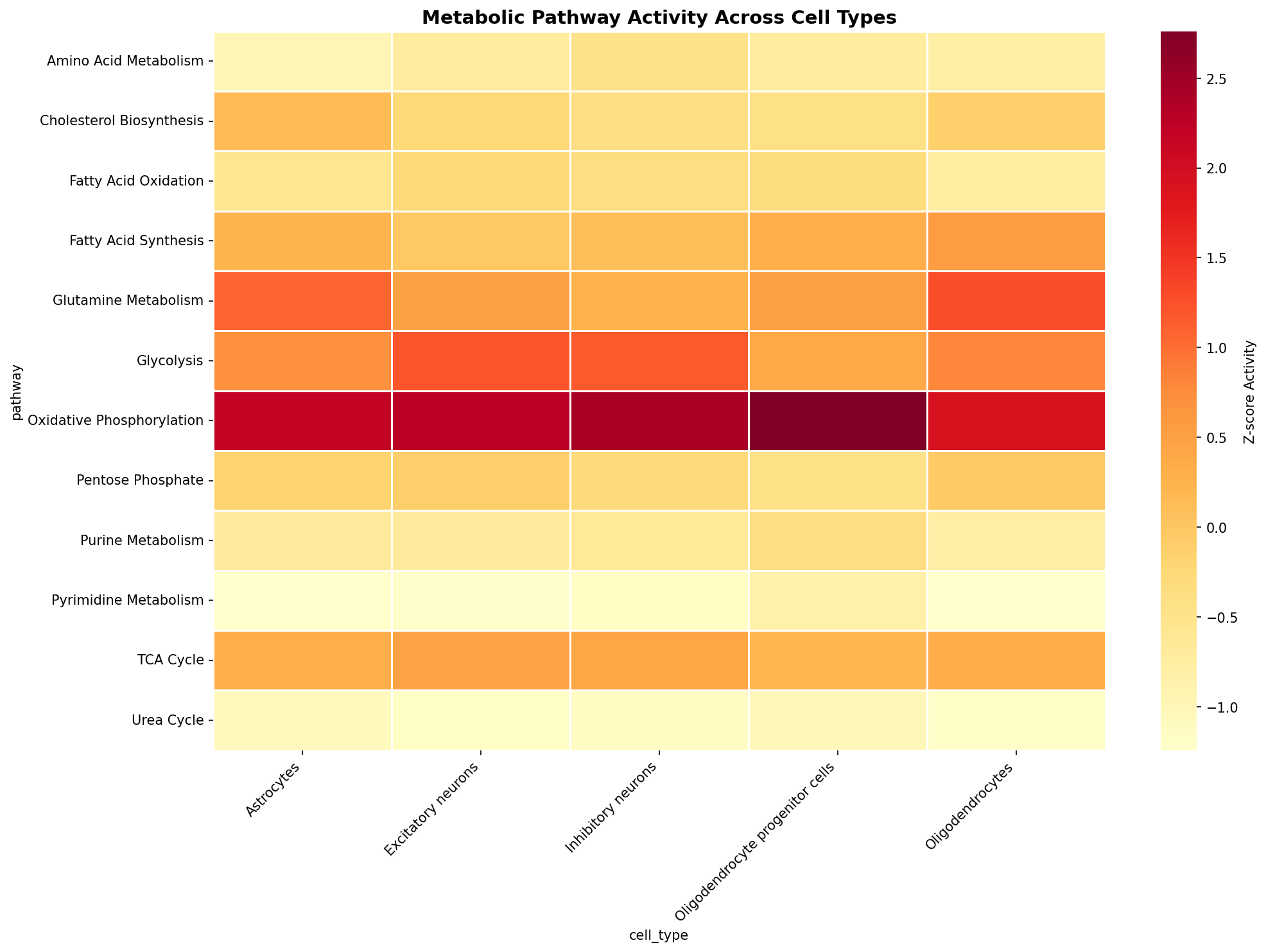 Metabolic Pathway Heatmap