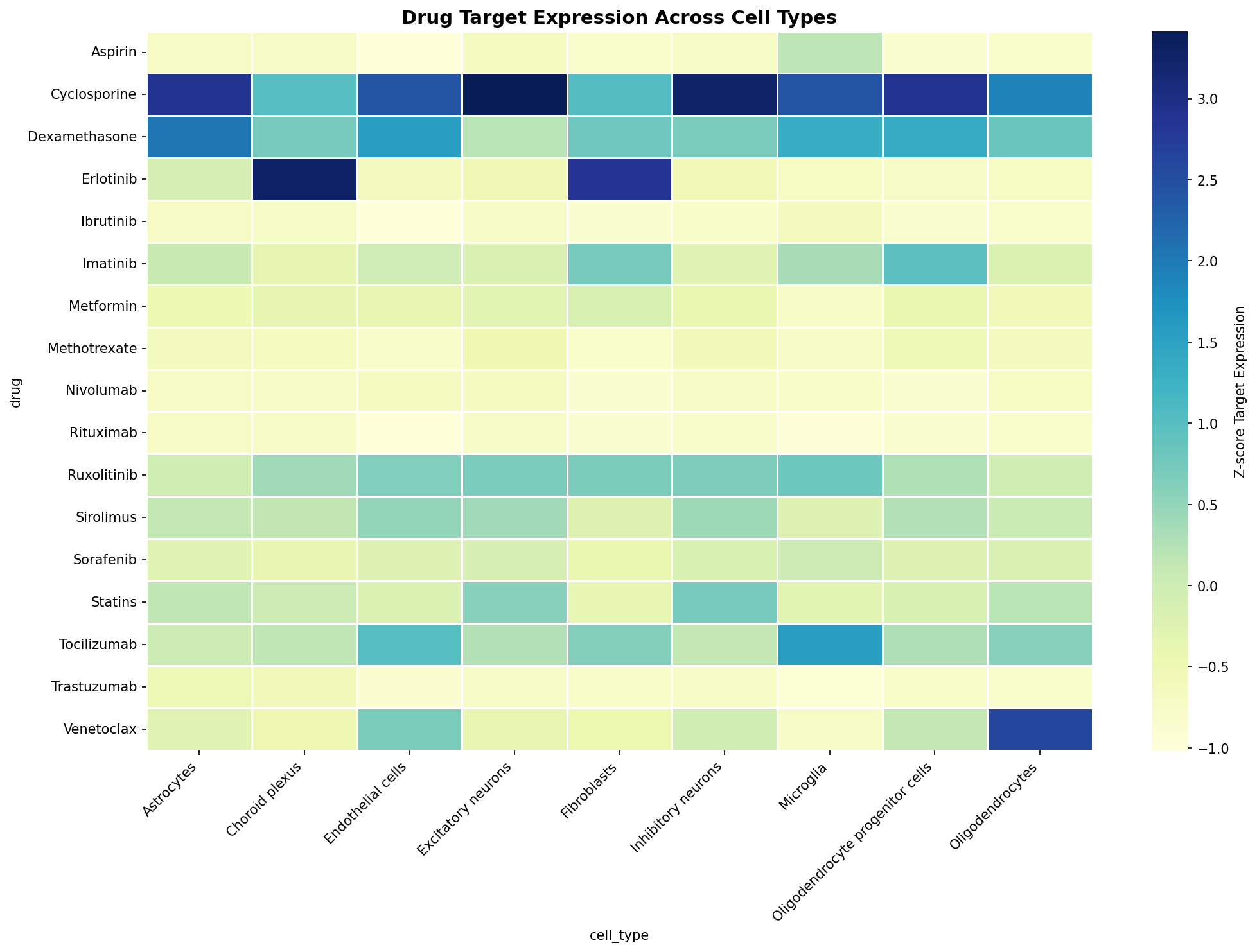 Drug Target Expression Heatmap