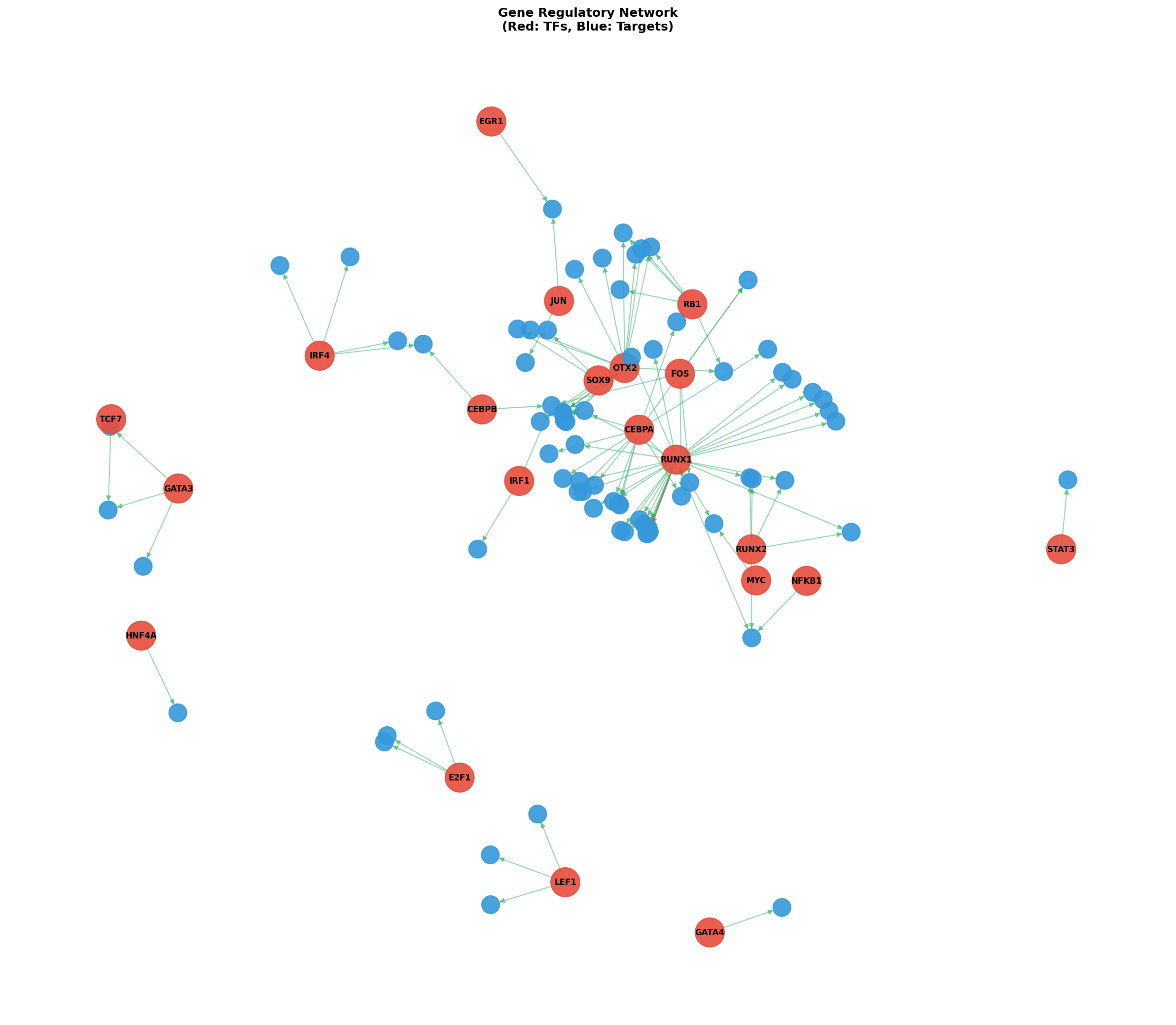 Exploratory TF-Target Association Network