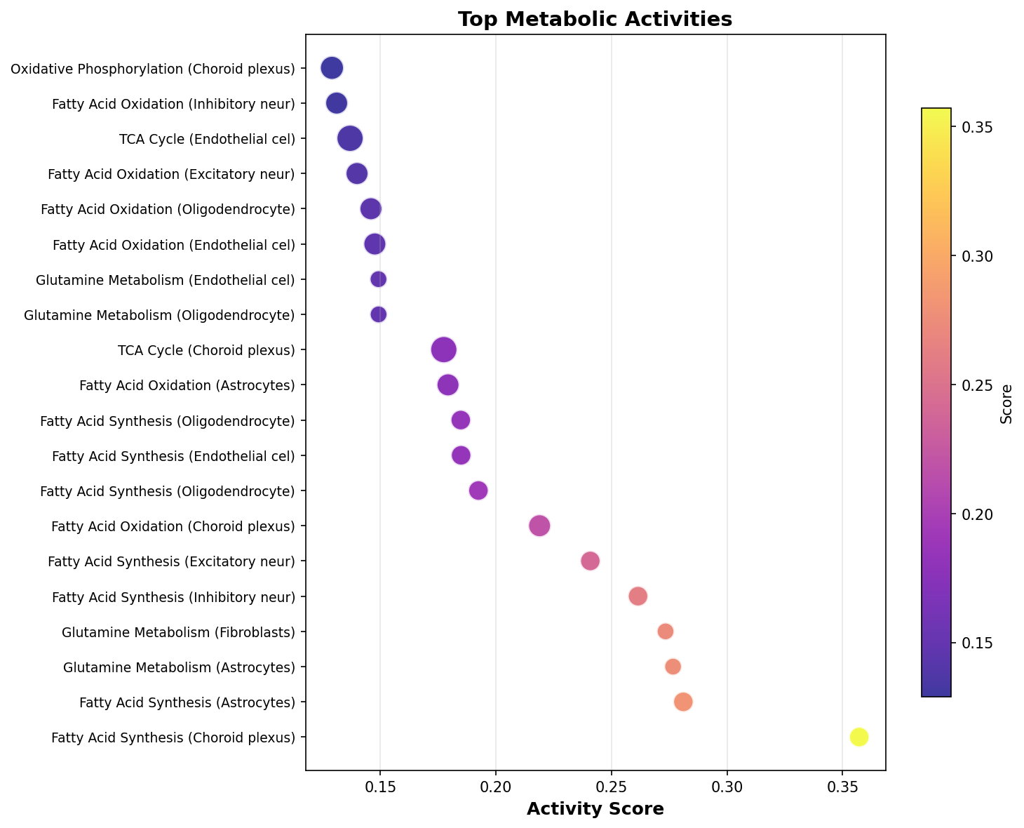 Top Metabolic Activities