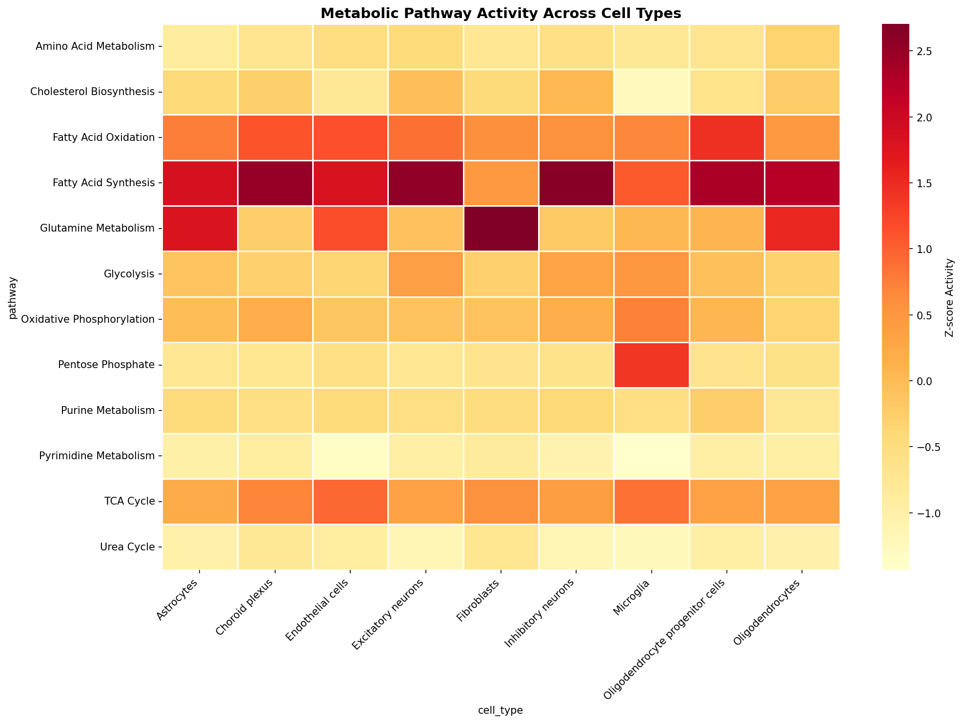 Metabolic Pathway Heatmap