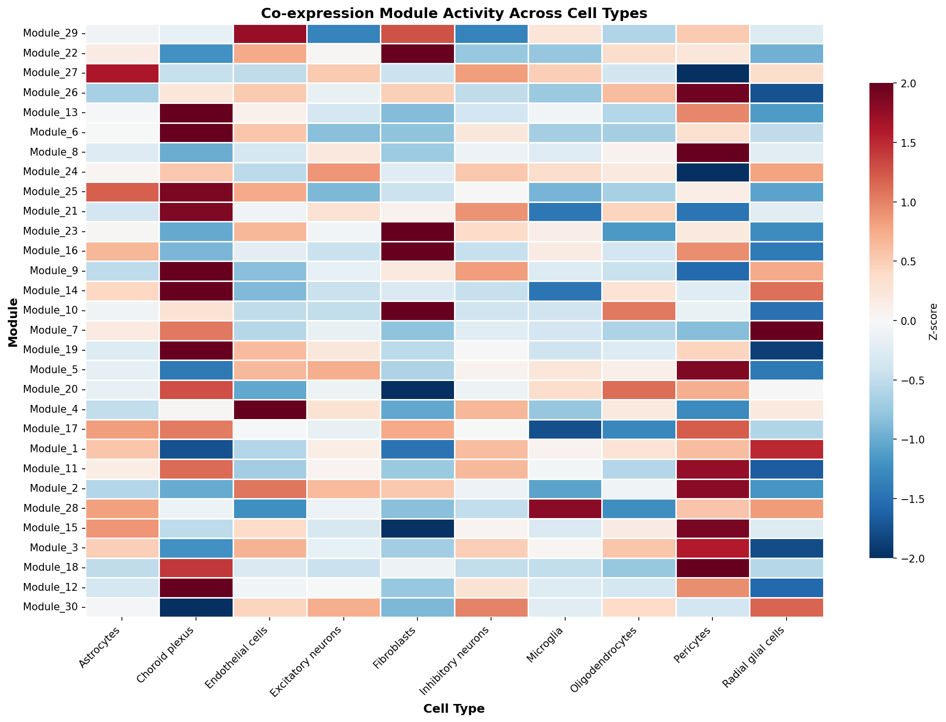 Module-Cell Type Association
