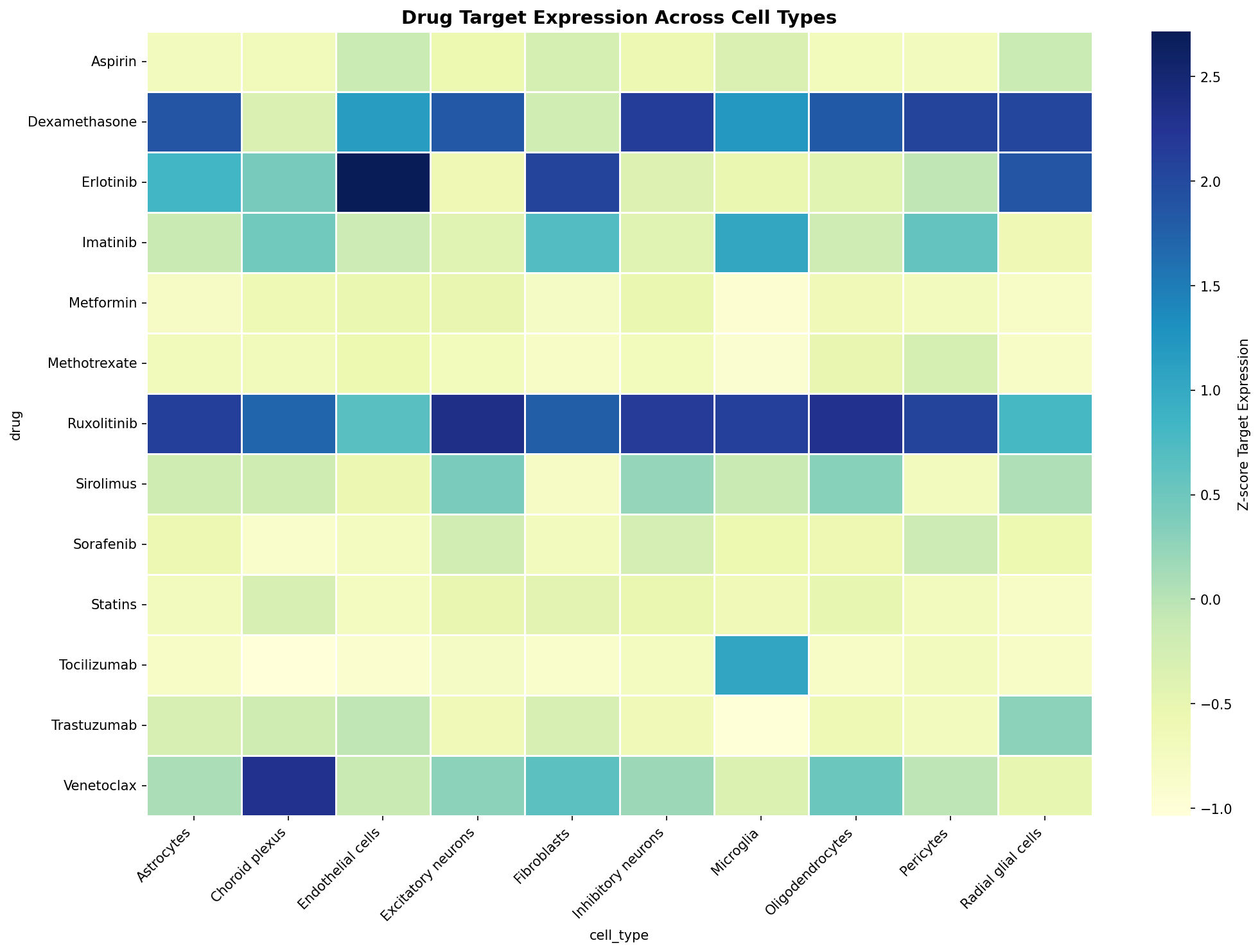 Drug Target Expression Heatmap