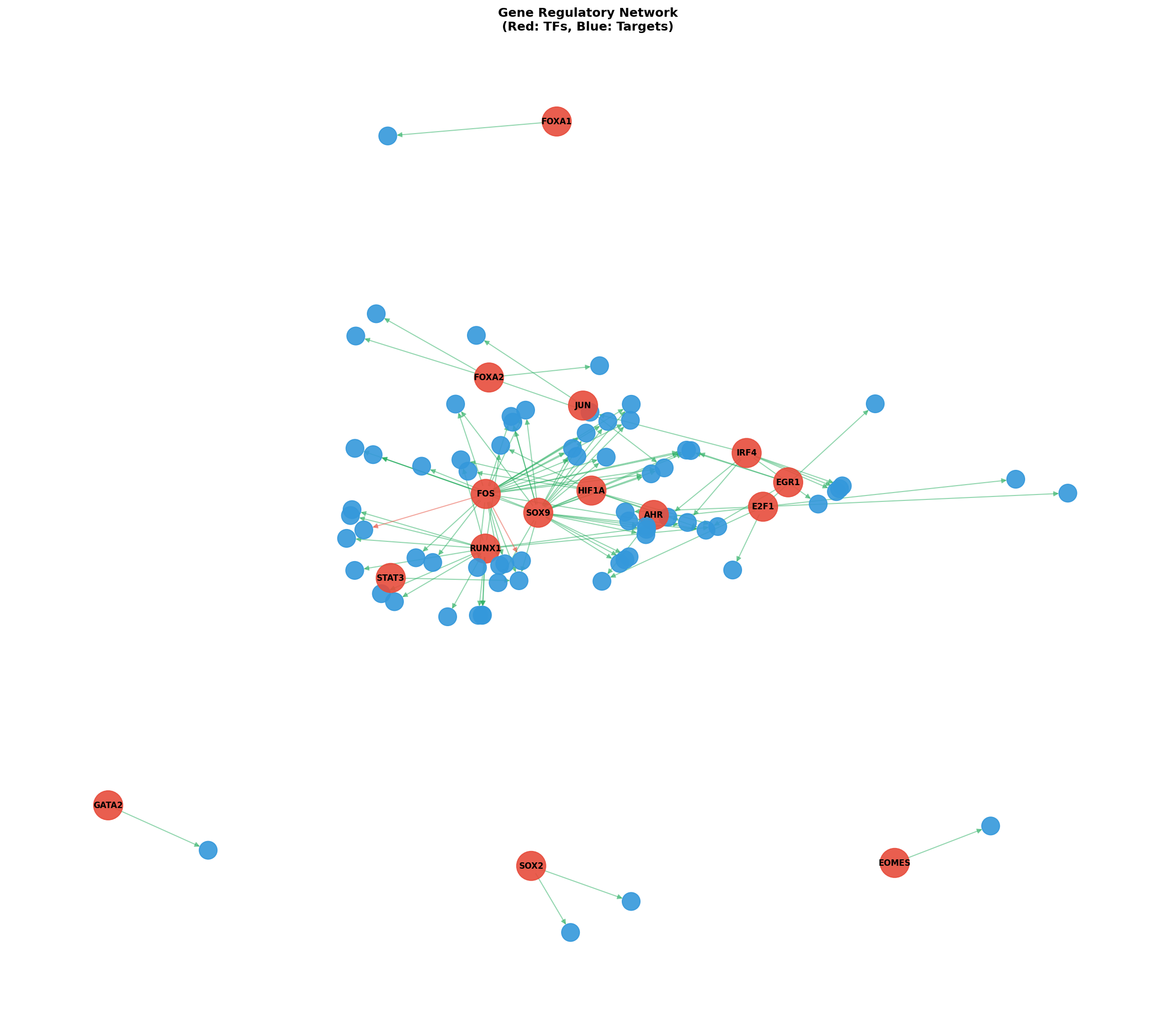 Exploratory TF-Target Association Network