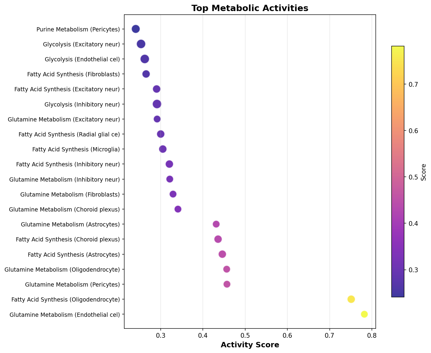 Top Metabolic Activities