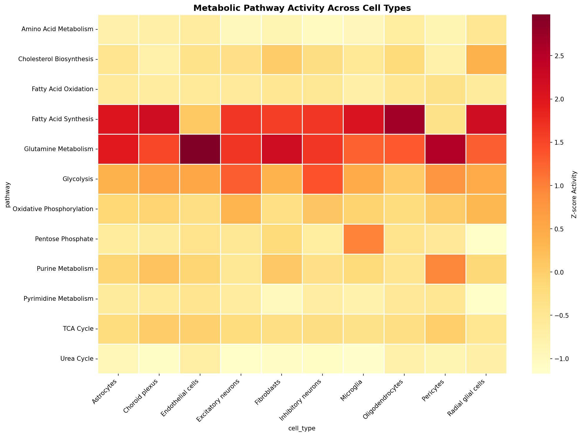 Metabolic Pathway Heatmap