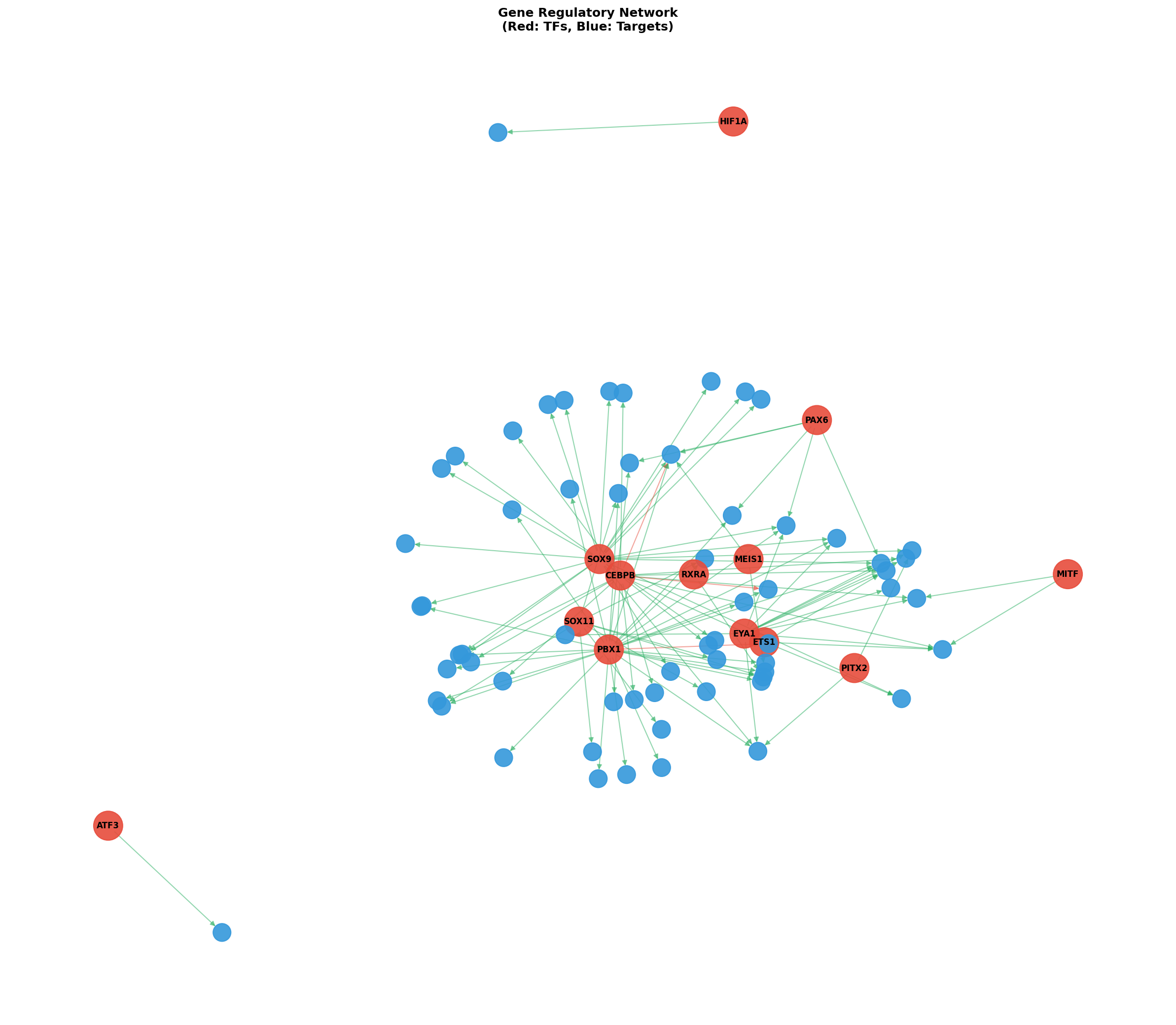 Exploratory TF-Target Association Network