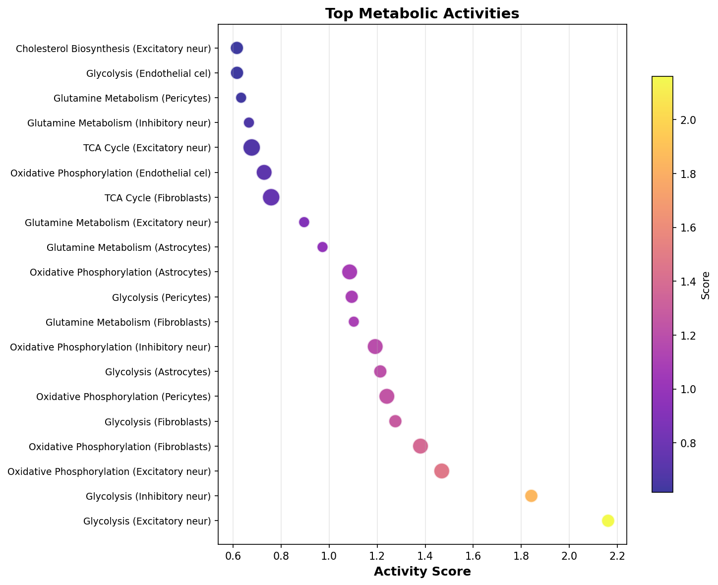Top Metabolic Activities