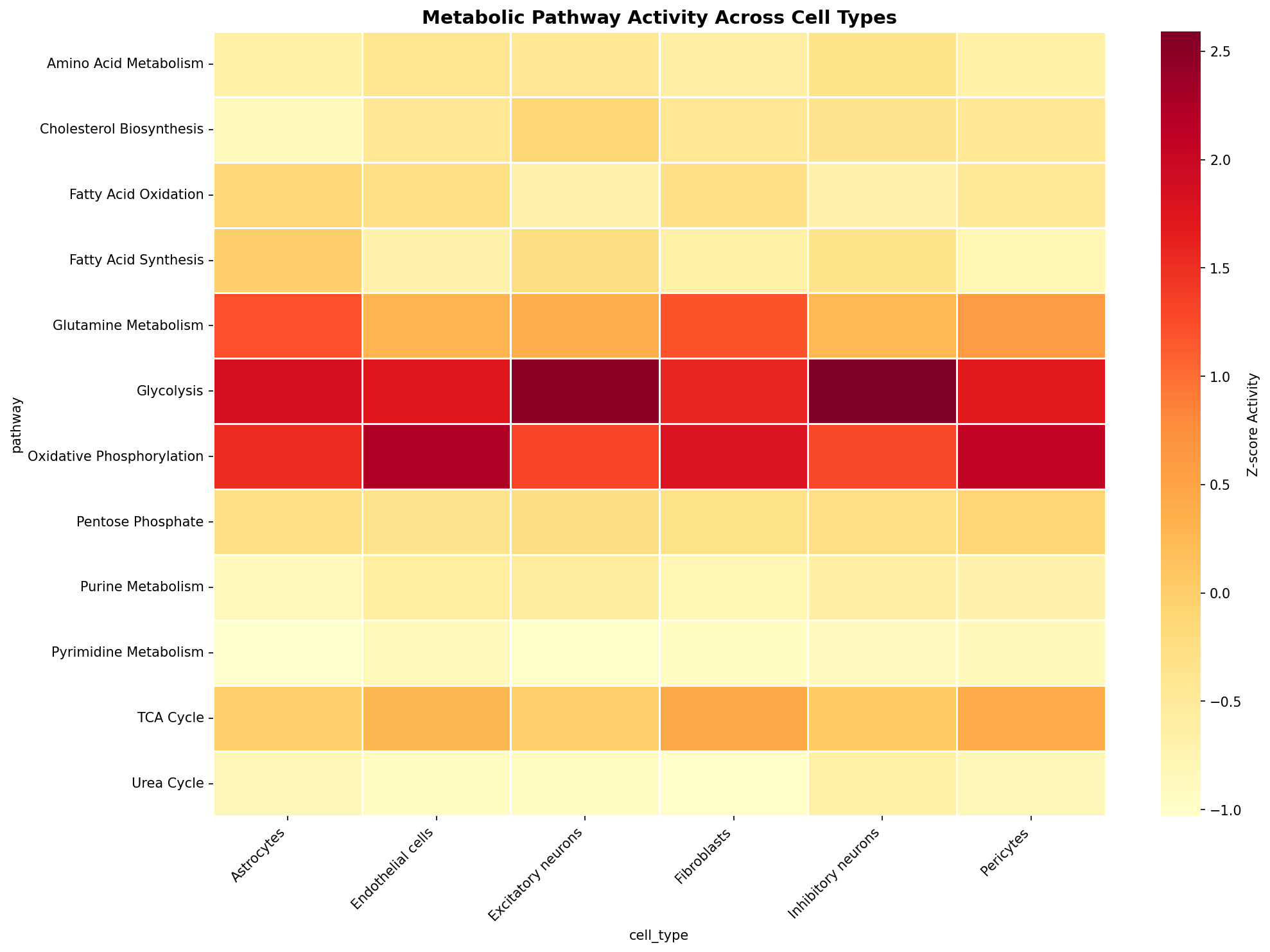 Metabolic Pathway Heatmap