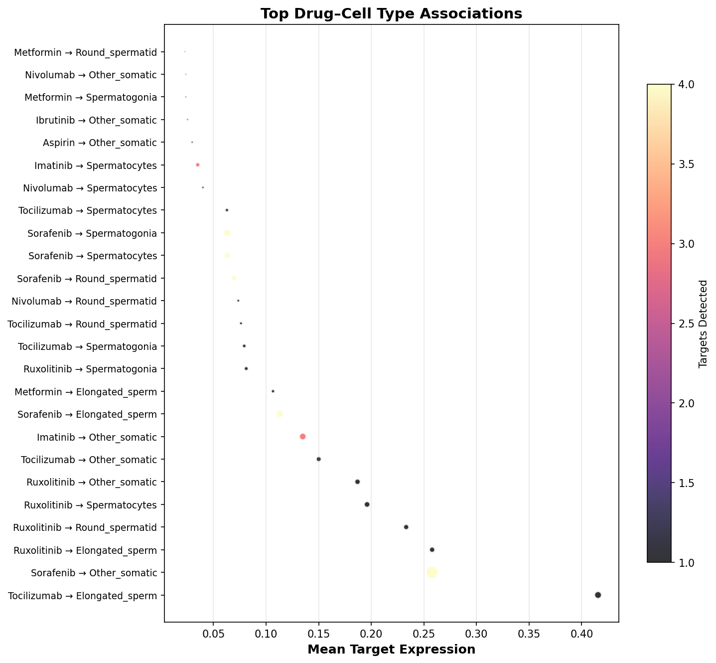Top Drug–Cell Type Associations