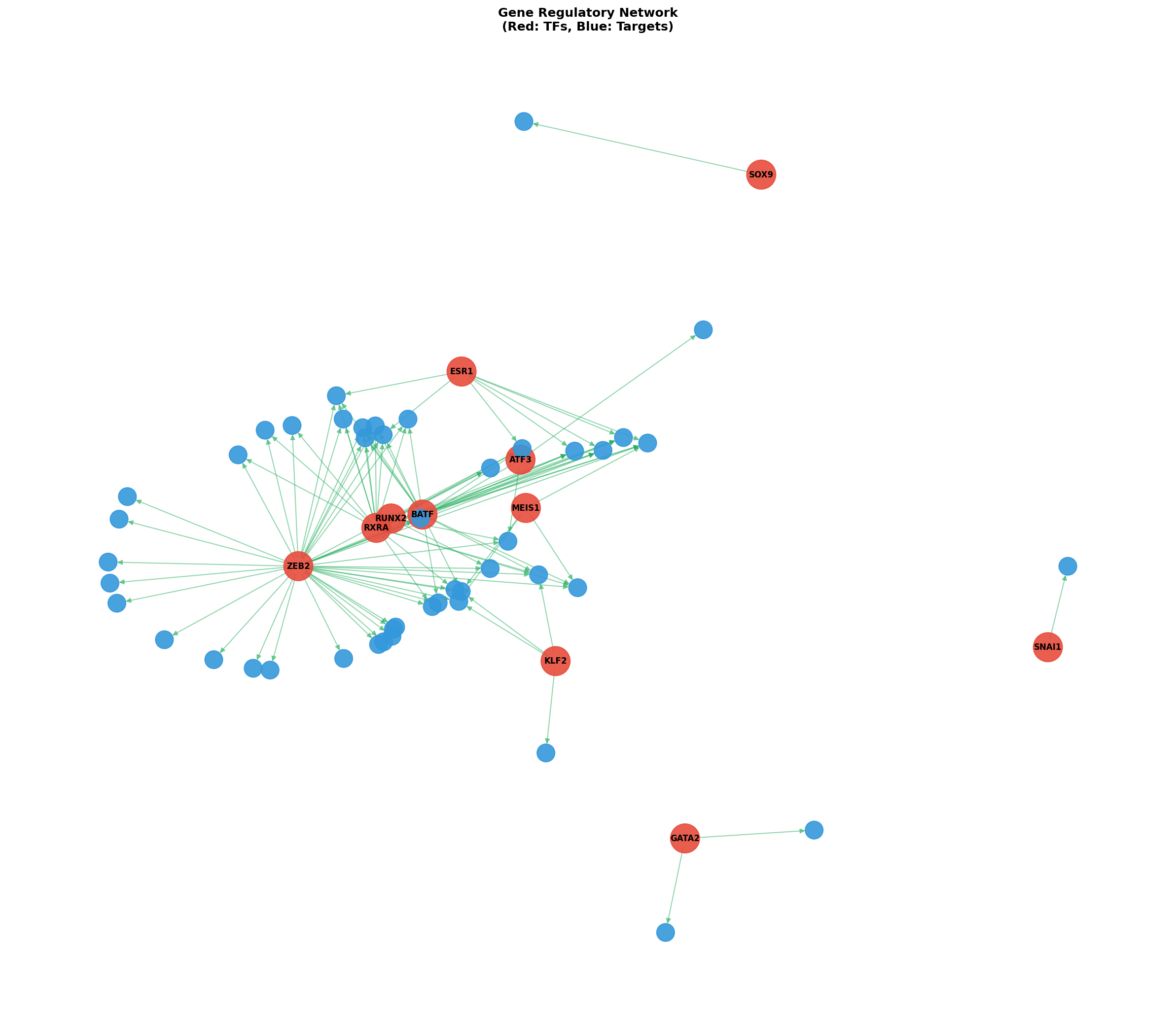 Exploratory TF-Target Association Network