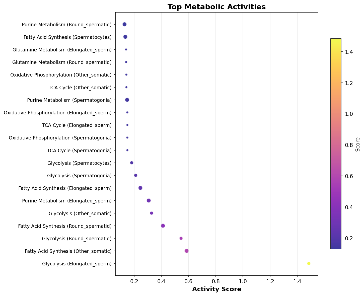 Top Metabolic Activities