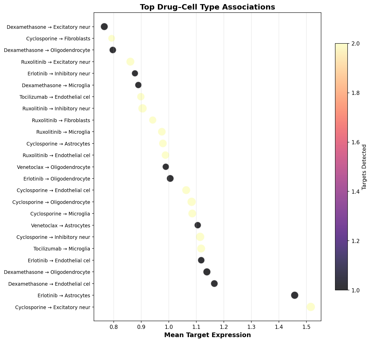 Top Drug–Cell Type Associations