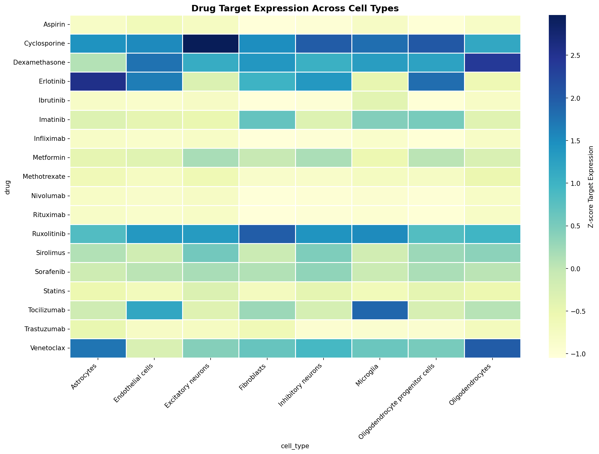Drug Target Expression Heatmap
