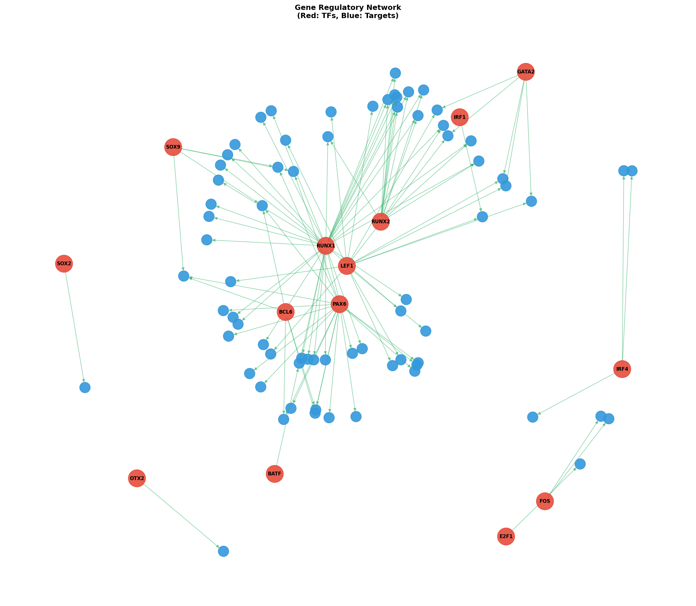 Exploratory TF-Target Association Network