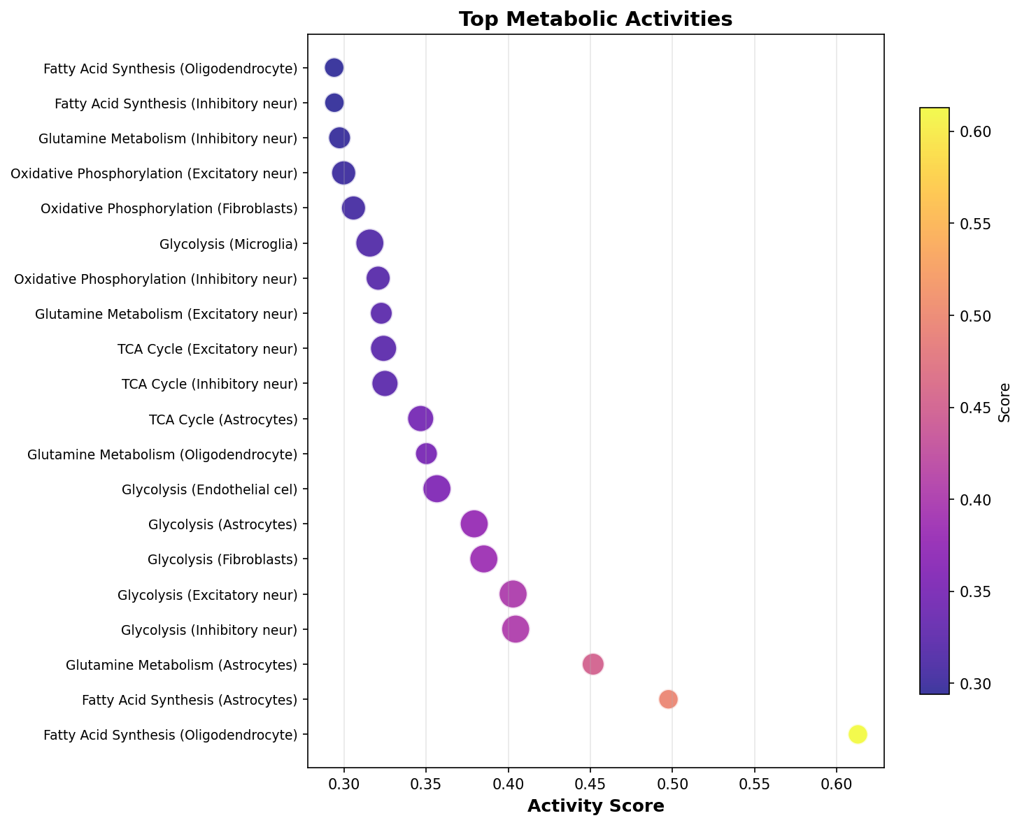 Top Metabolic Activities