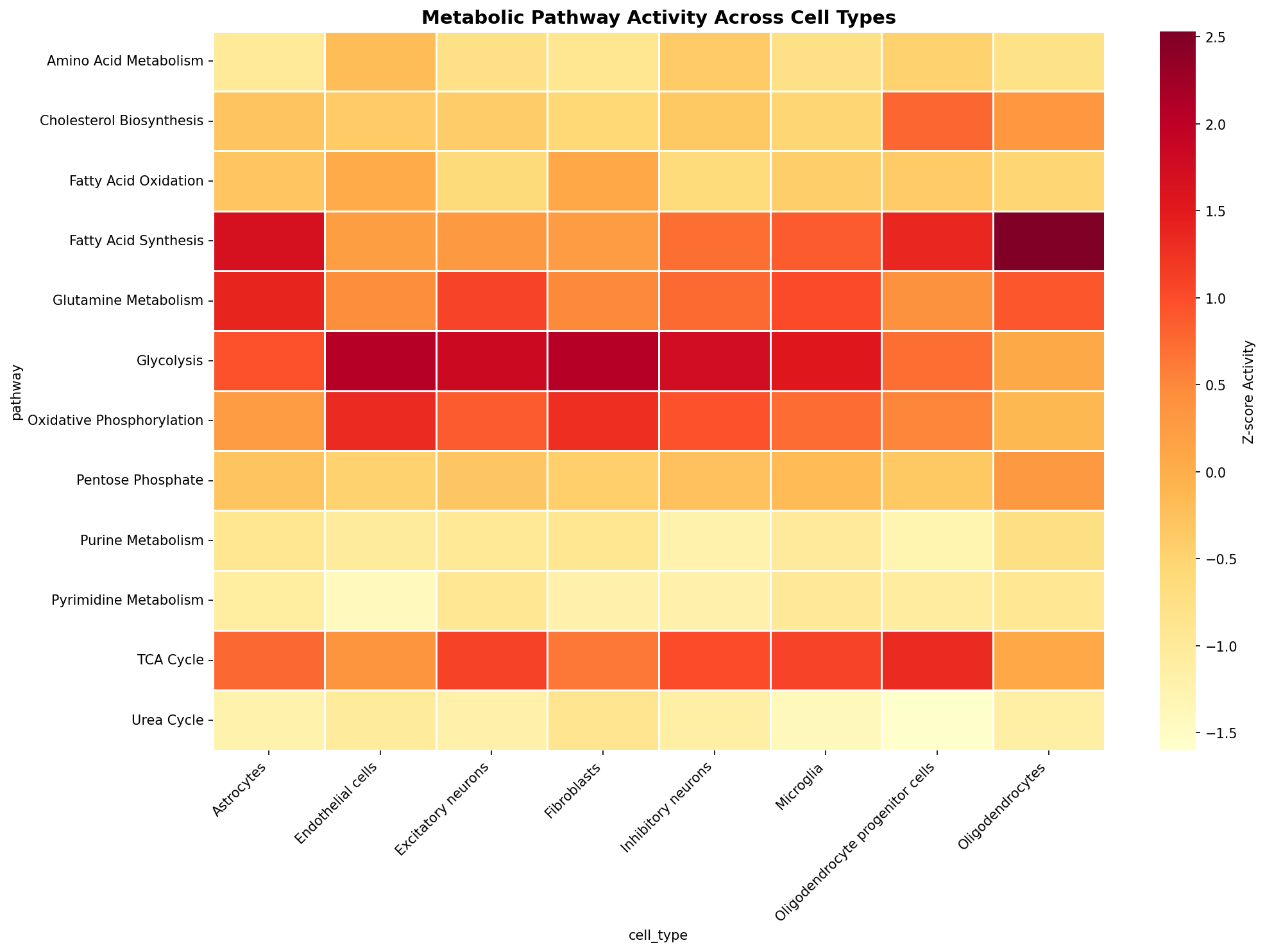 Metabolic Pathway Heatmap