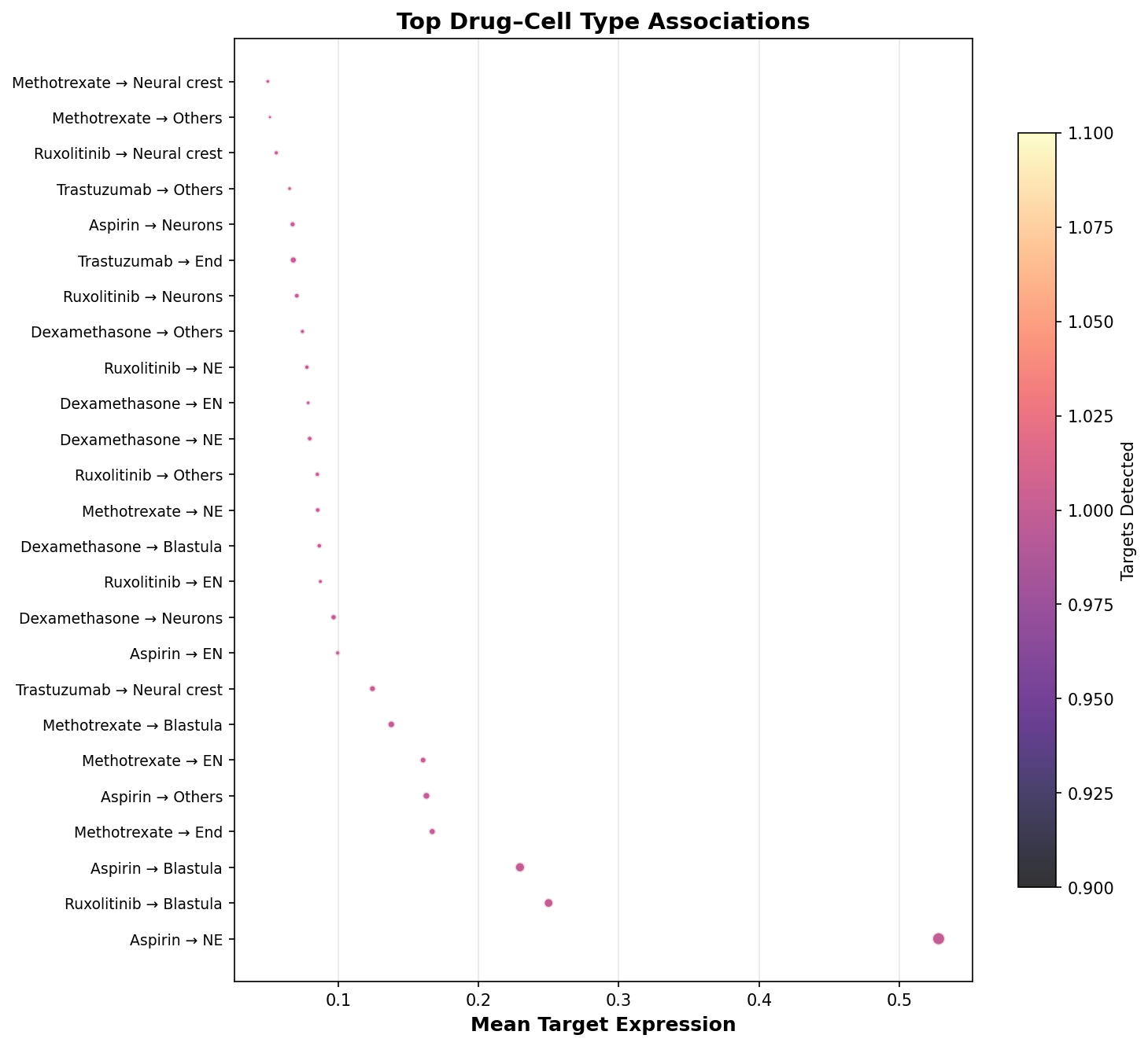 Top Drug–Cell Type Associations