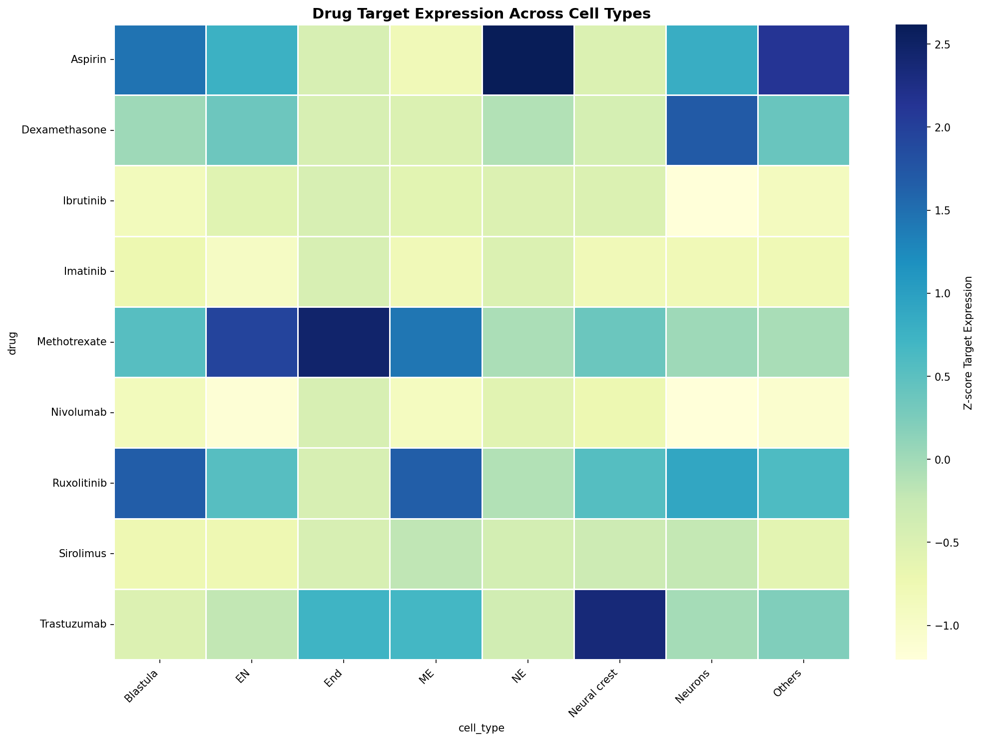 Drug Target Expression Heatmap