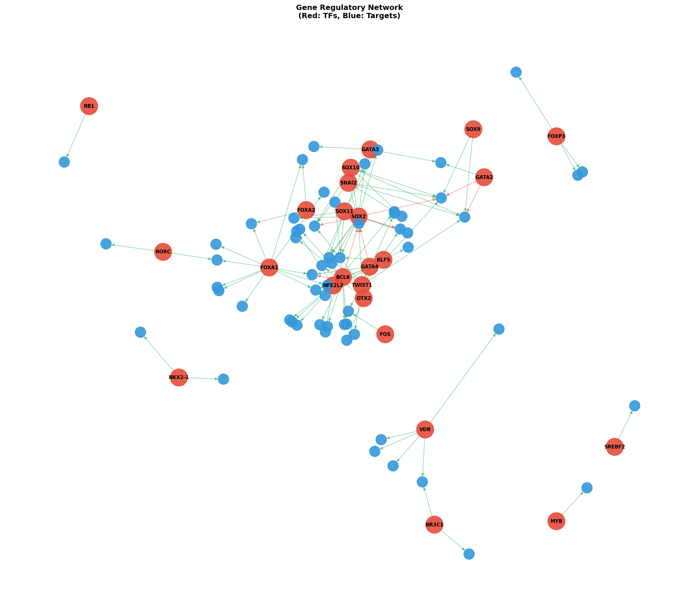 Exploratory TF-Target Association Network