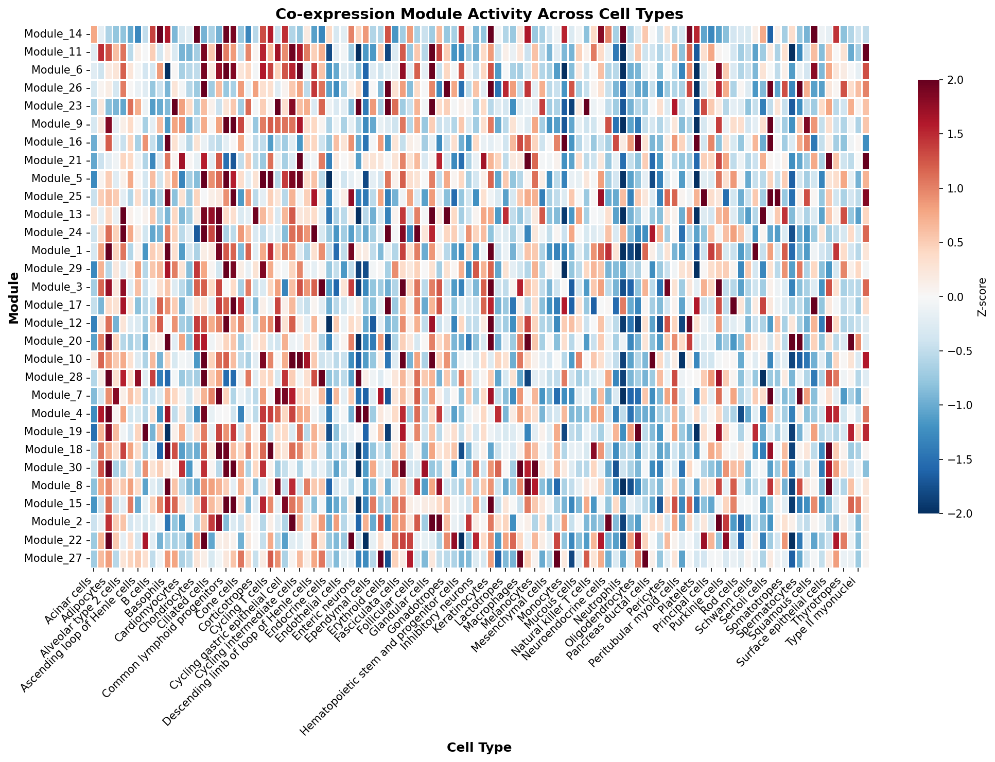Module-Cell Type Association