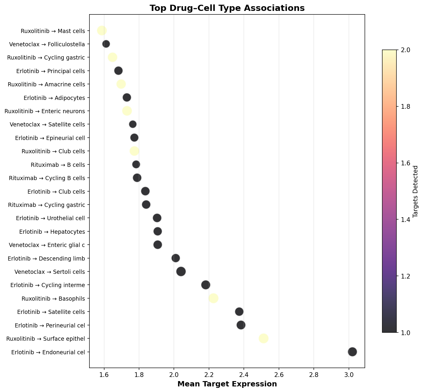 Top Drug–Cell Type Associations