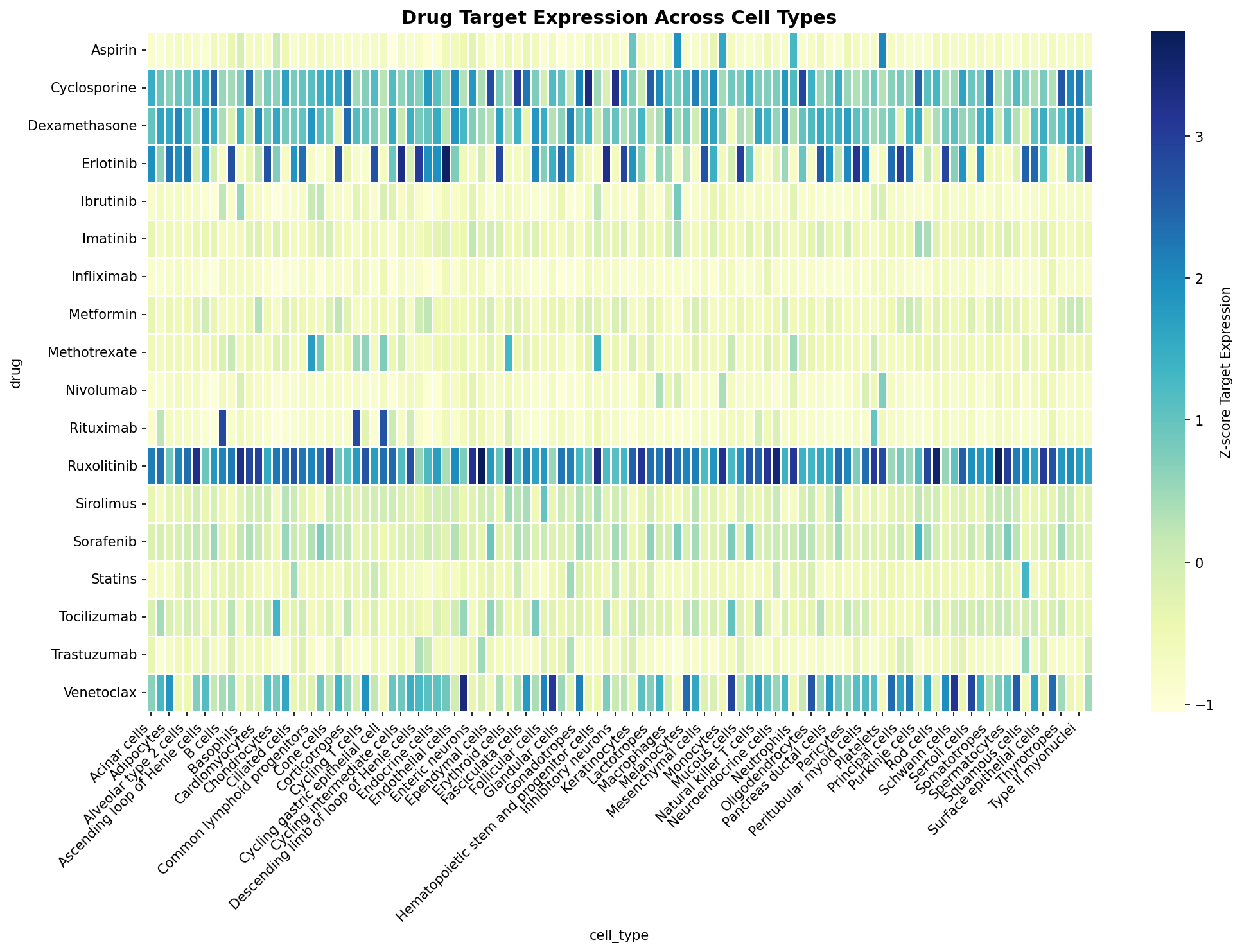 Drug Target Expression Heatmap