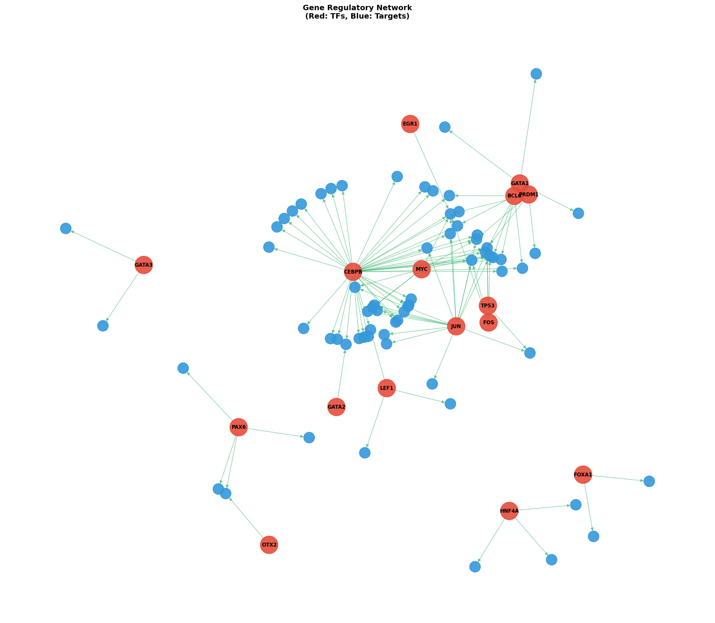 Exploratory TF-Target Association Network