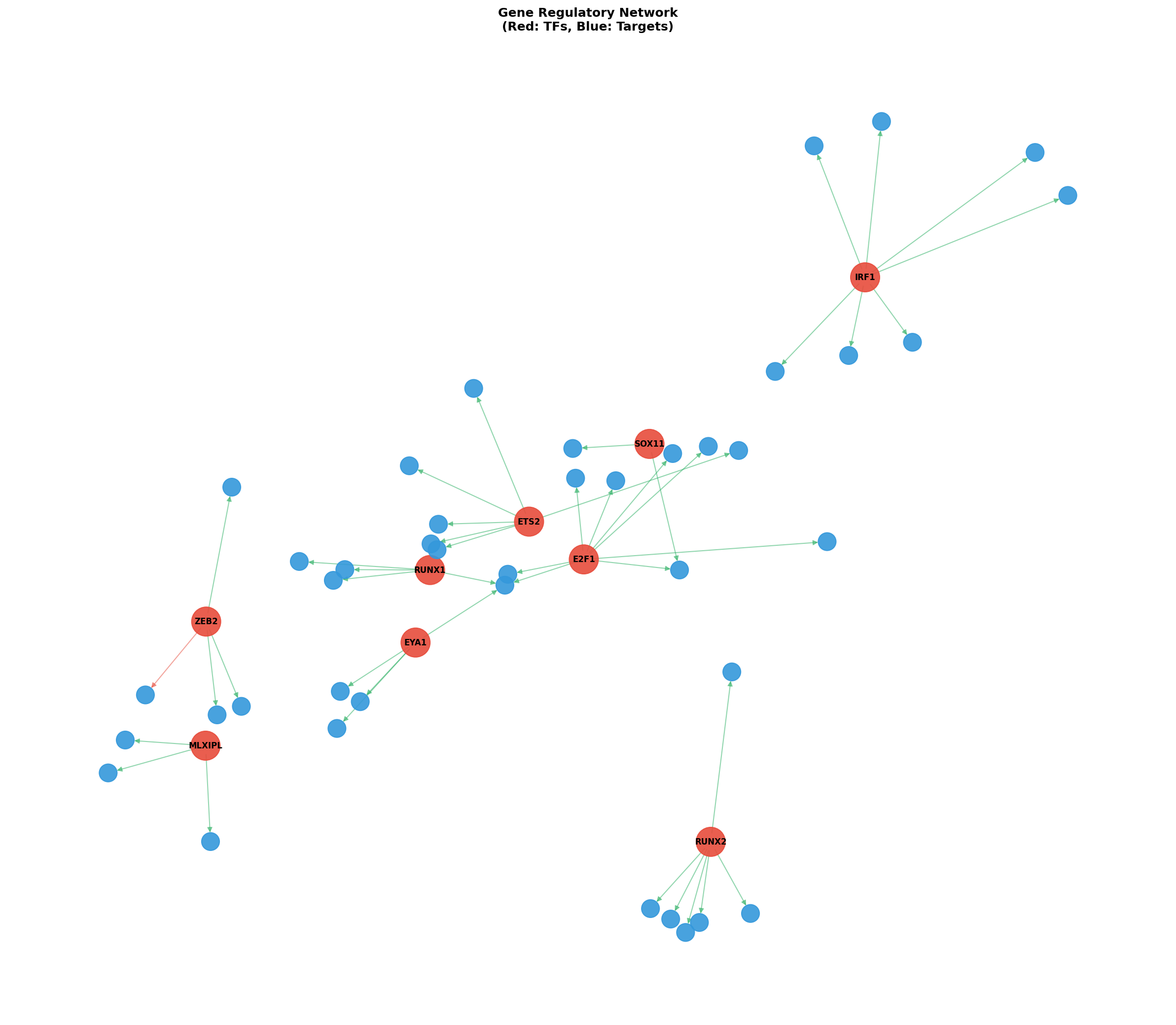 Exploratory TF-Target Association Network