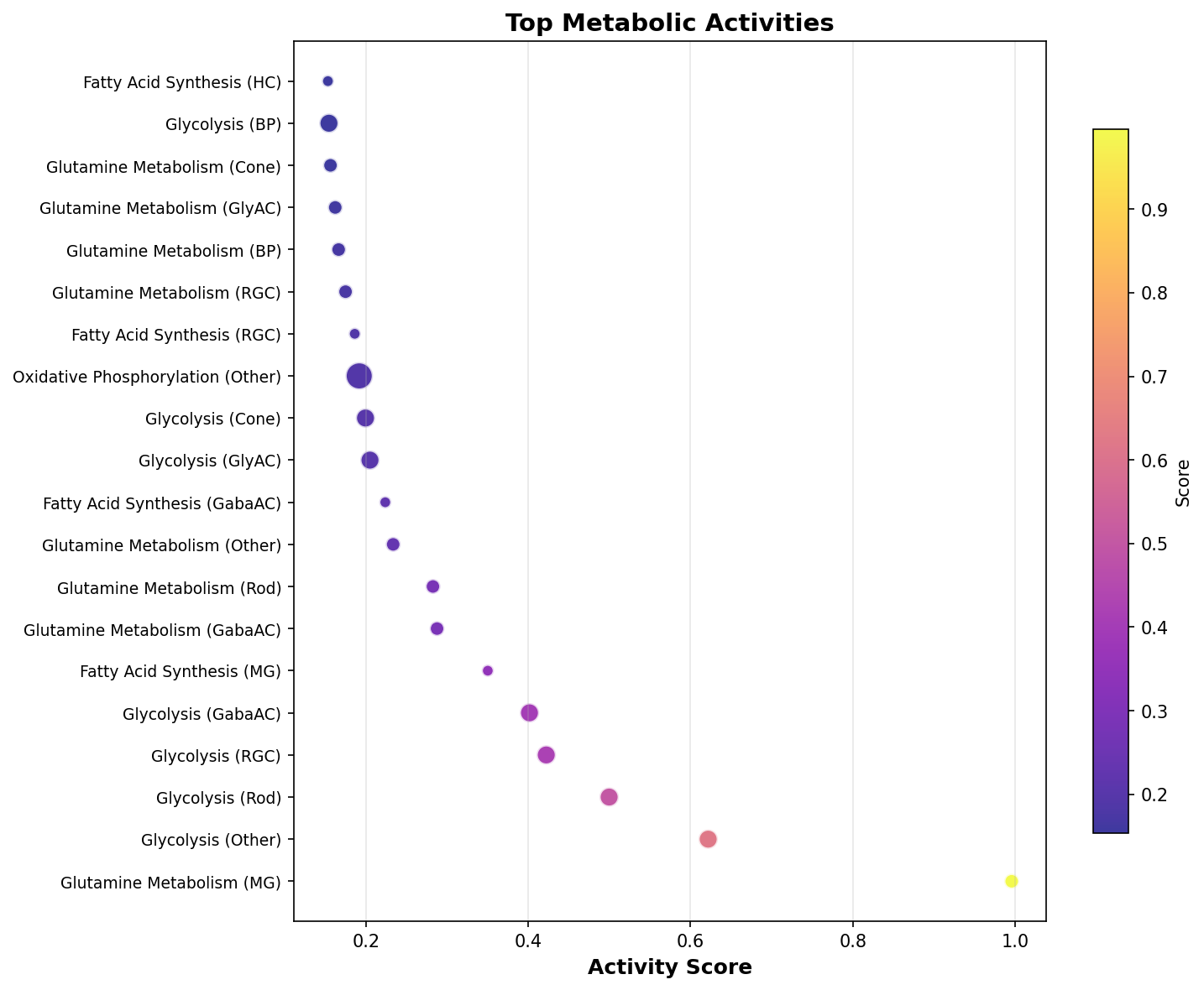 Top Metabolic Activities