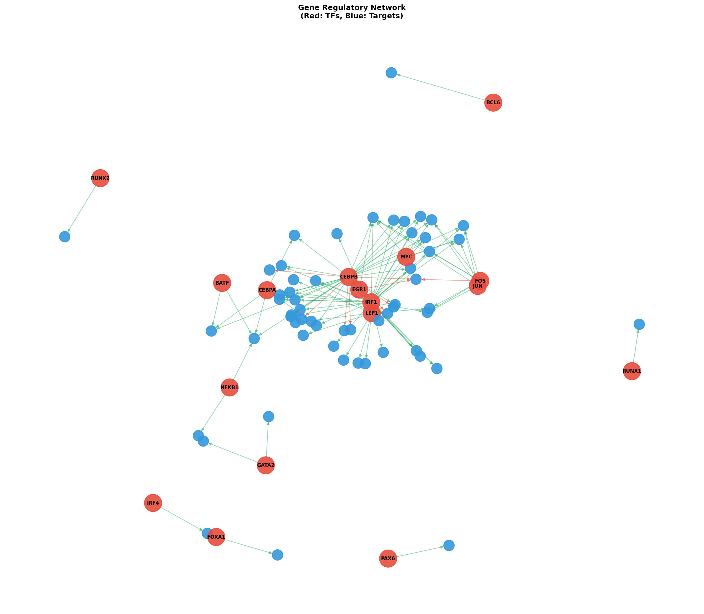 Exploratory TF-Target Association Network