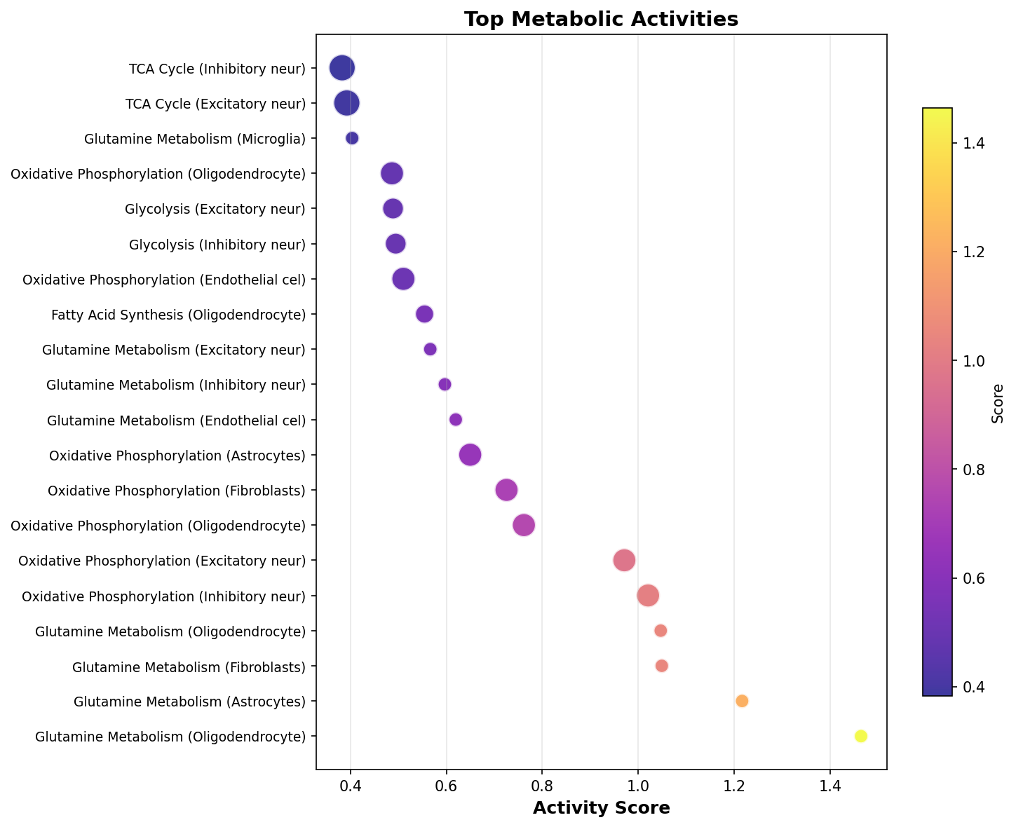Top Metabolic Activities