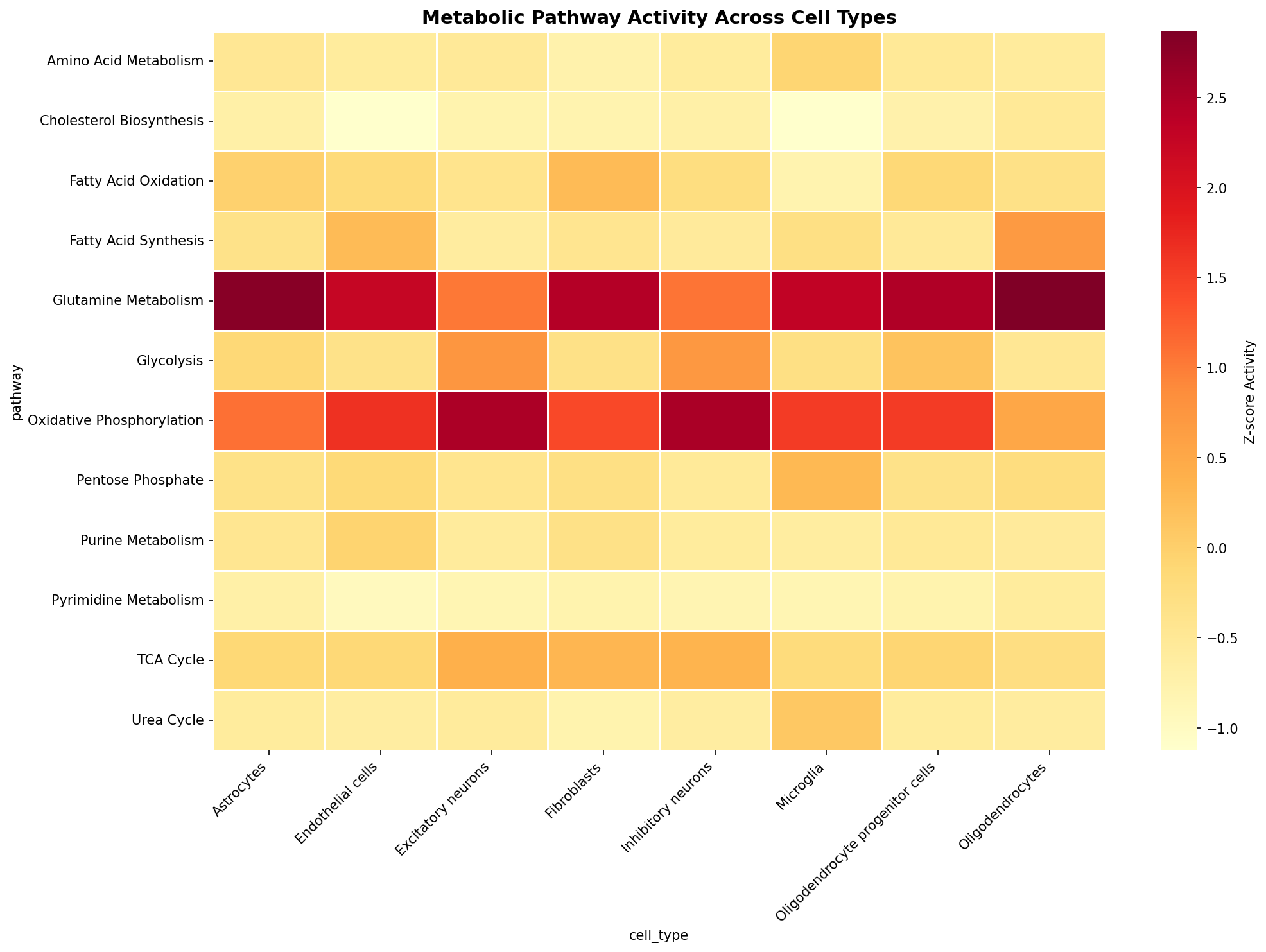 Metabolic Pathway Heatmap