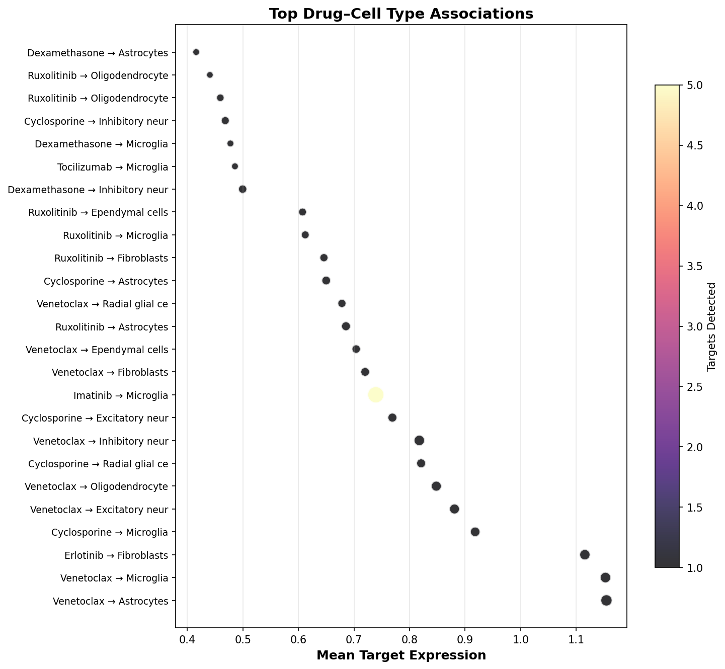 Top Drug–Cell Type Associations