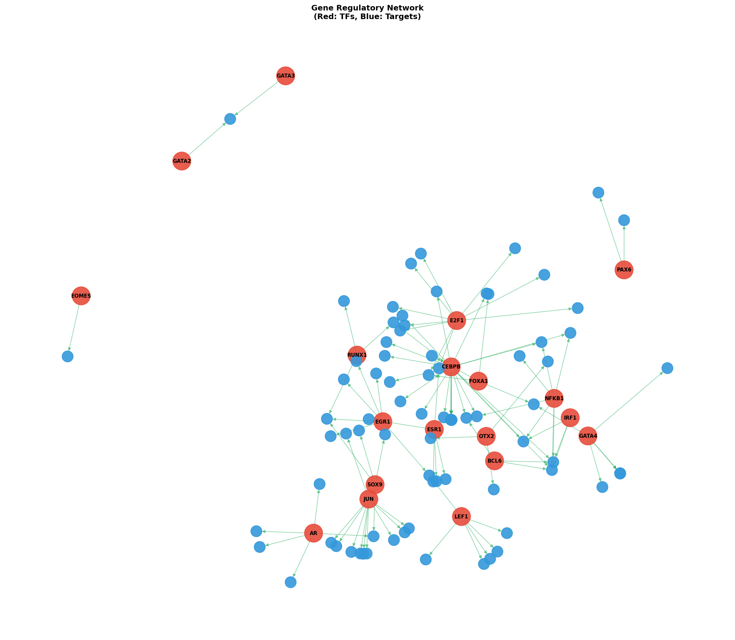 Exploratory TF-Target Association Network